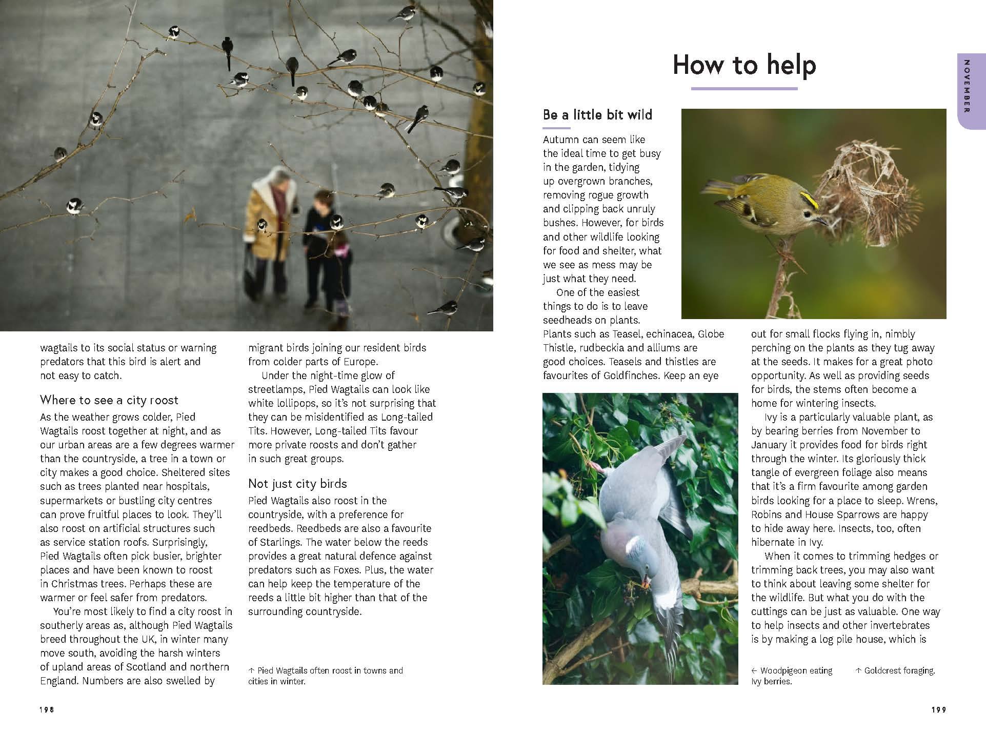 Page Spread