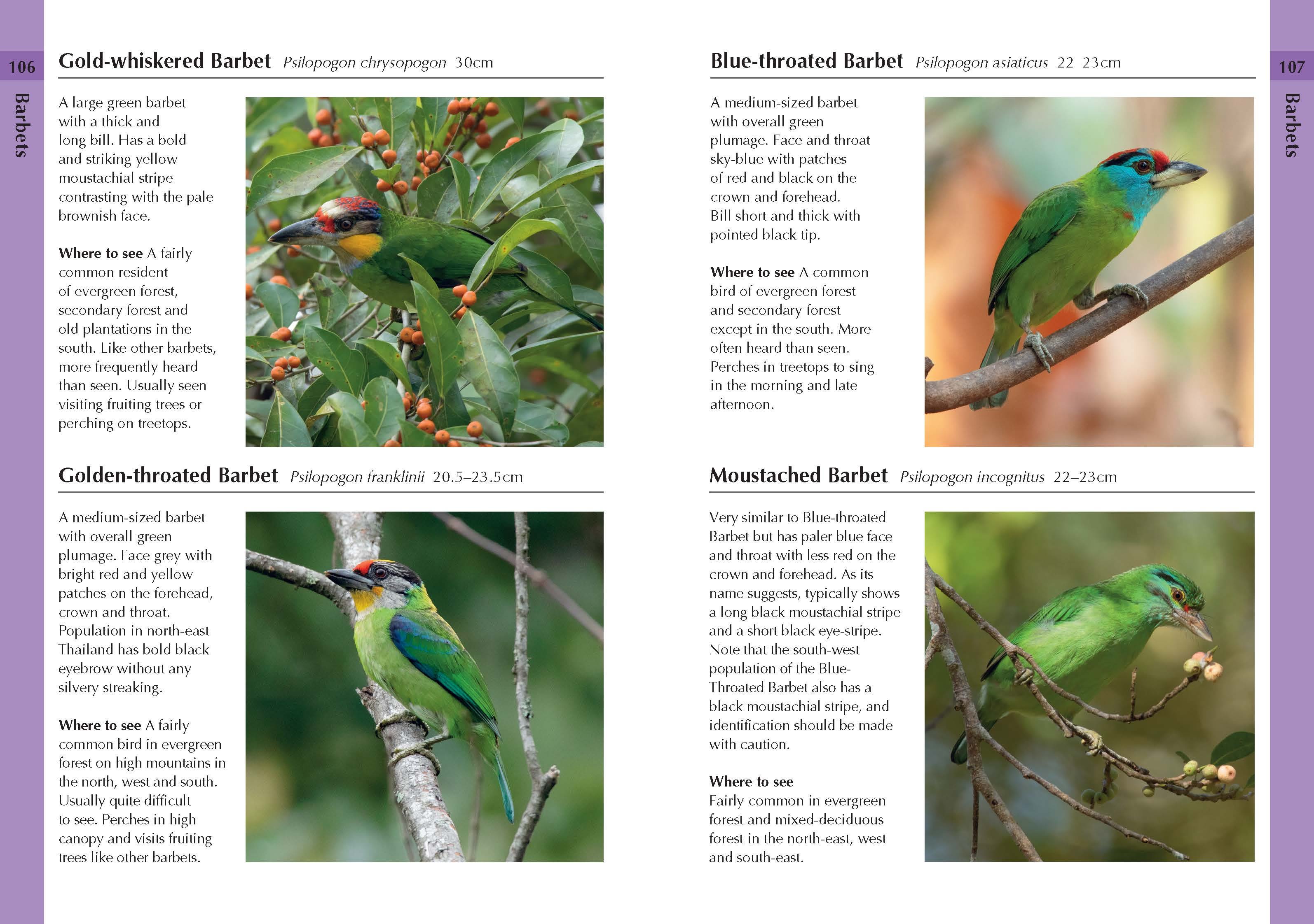 Page Spread