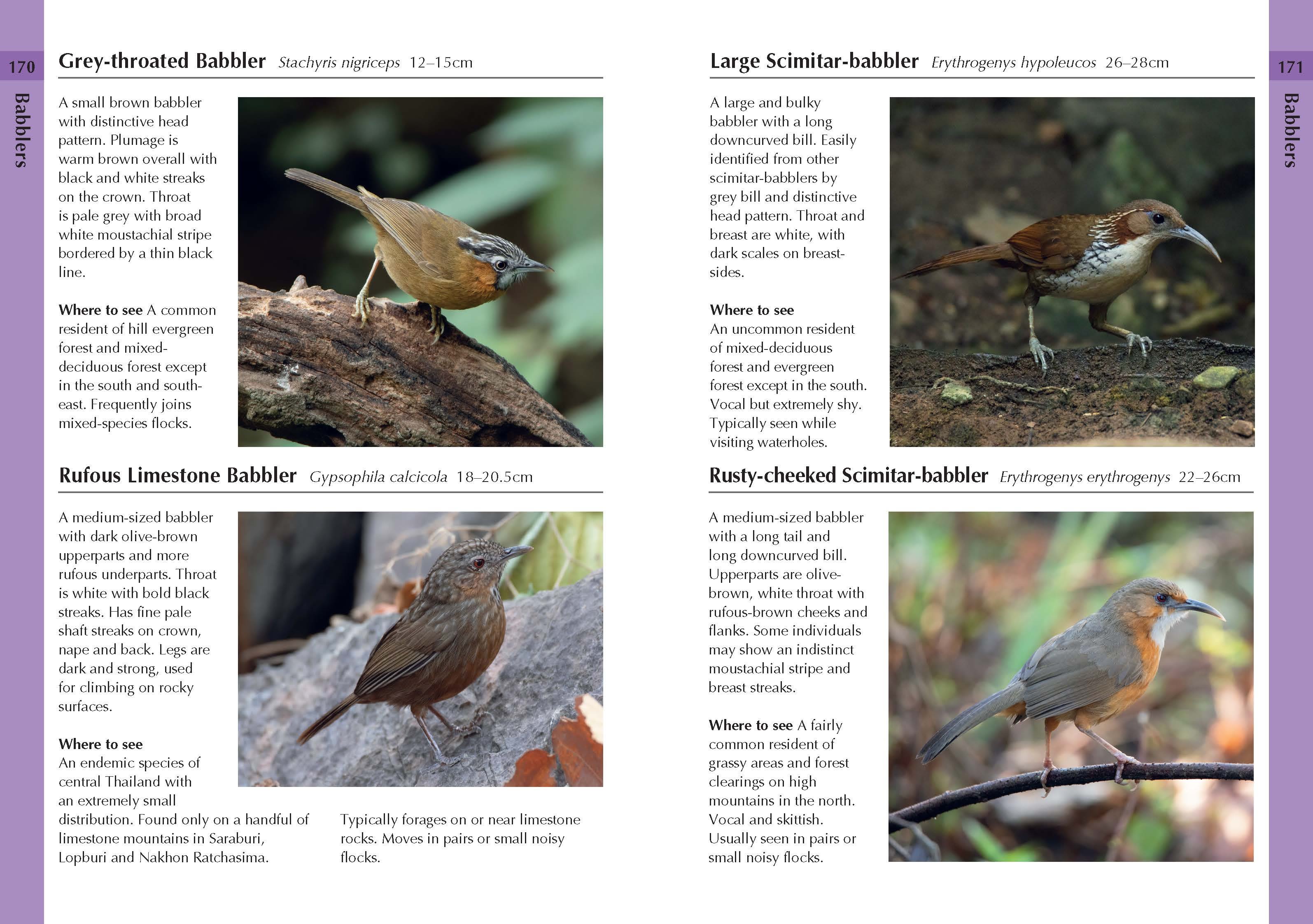 Page Spread