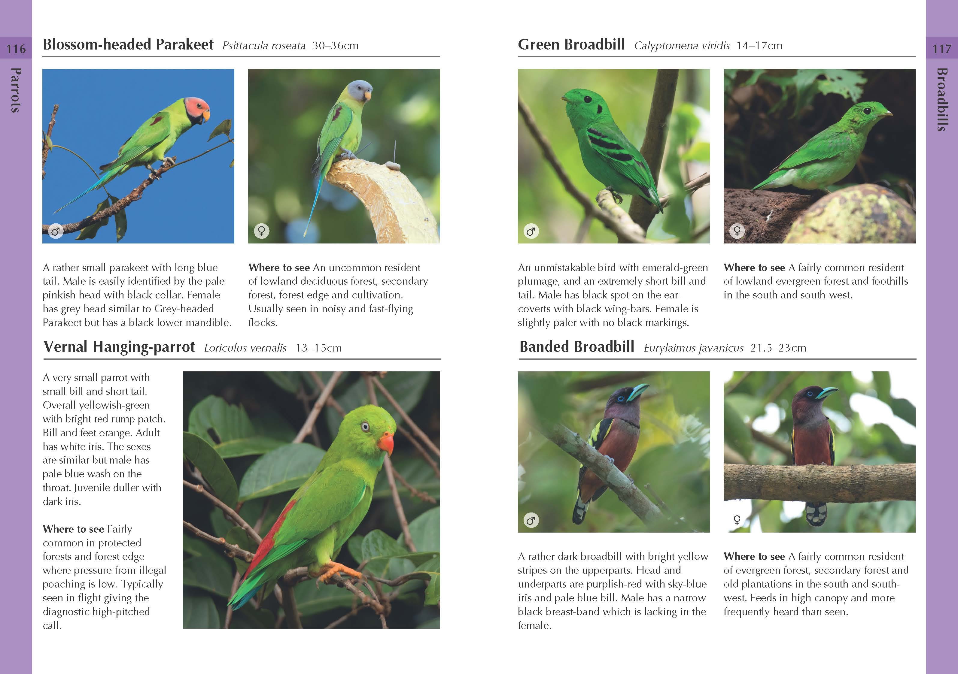 Page Spread
