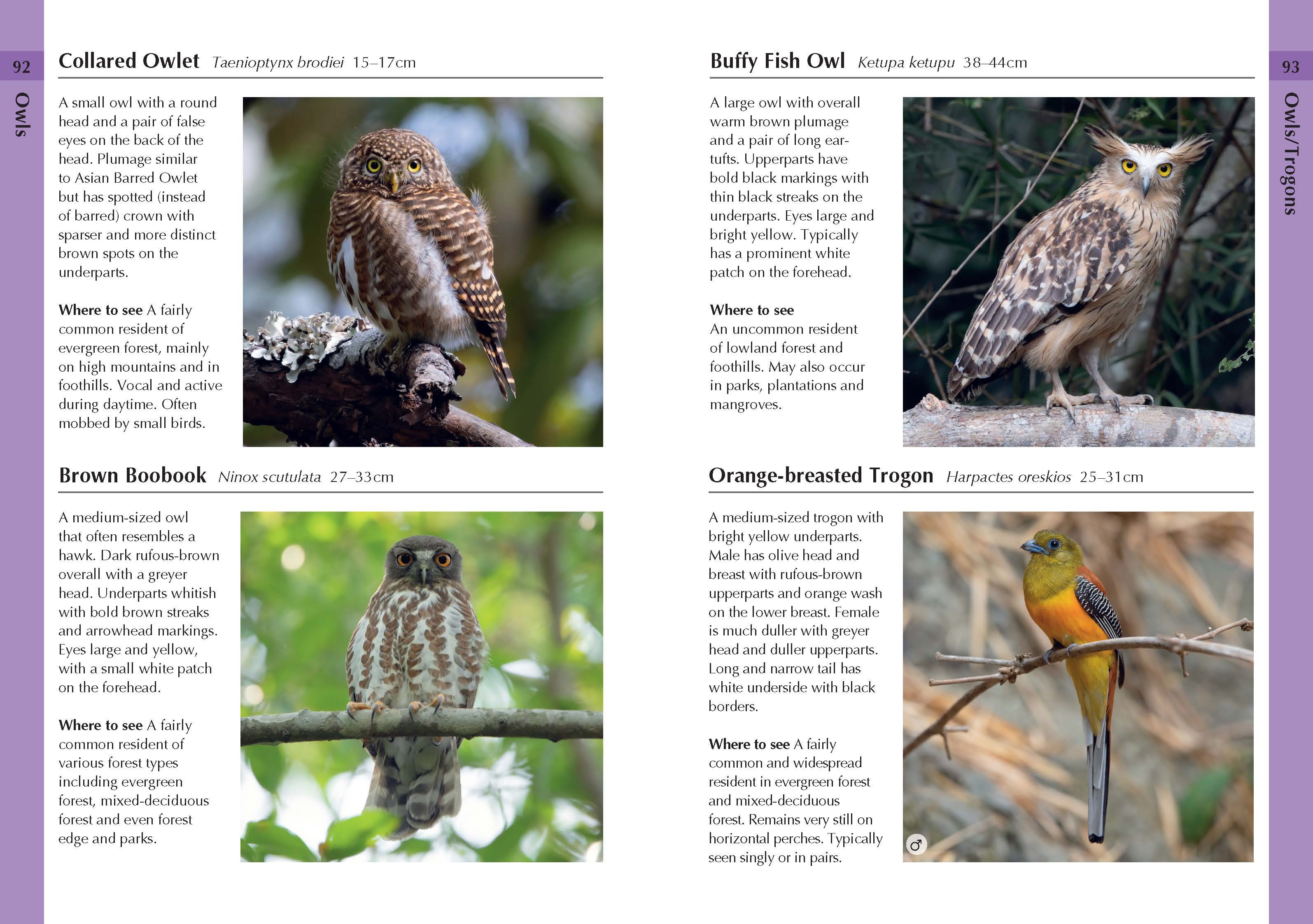 Page Spread