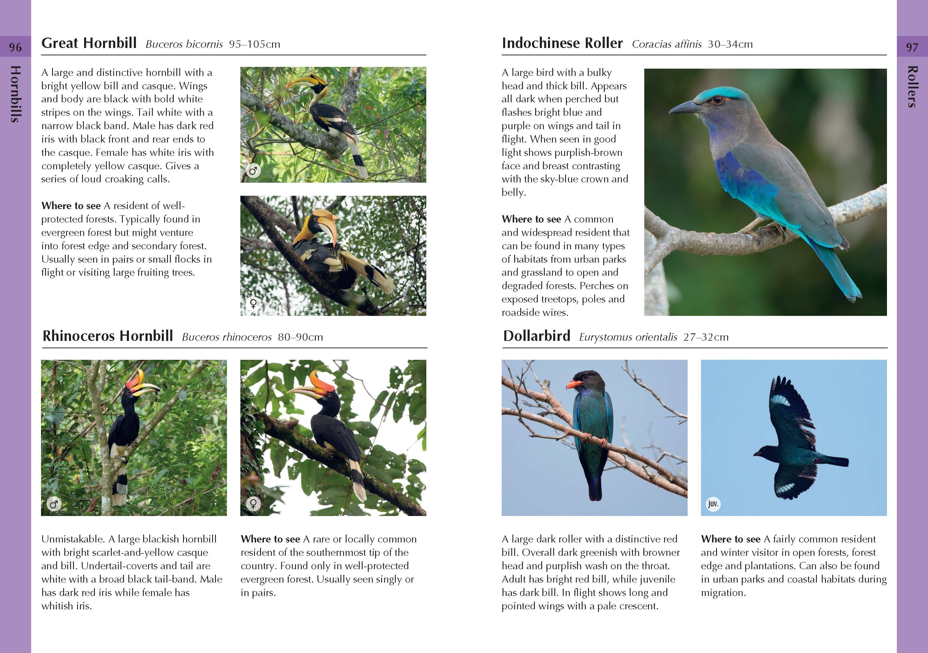 Page Spread