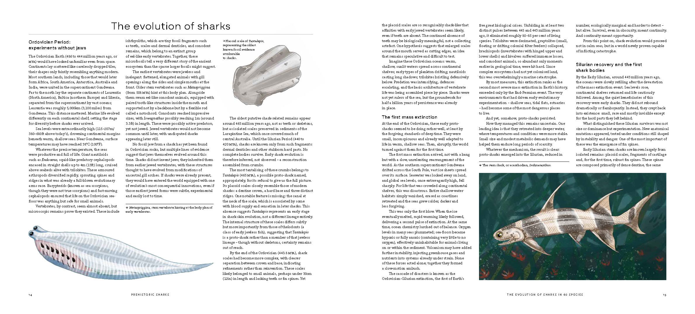 Page Spread