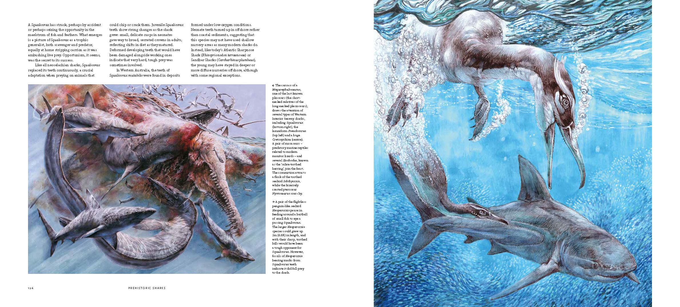 Page Spread