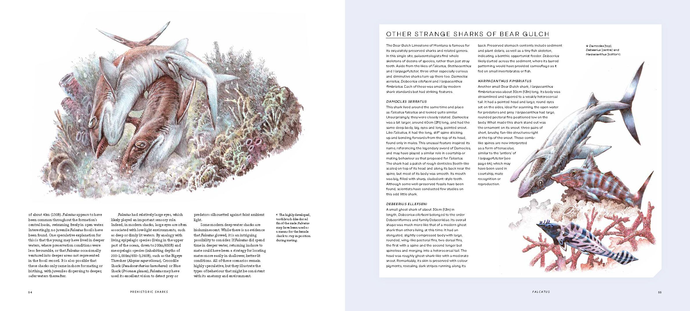 Page Spread
