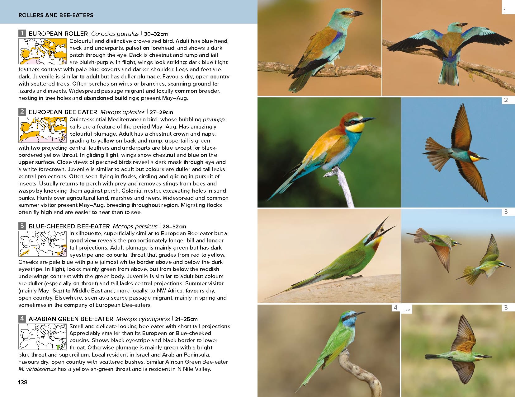 Page Spread