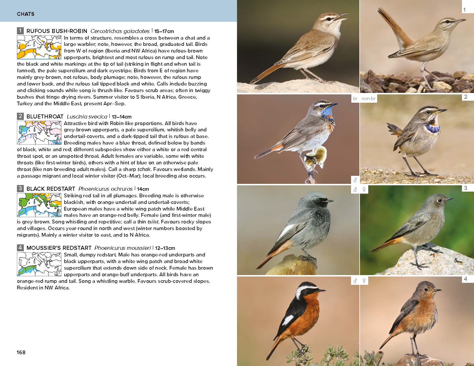 Page Spread