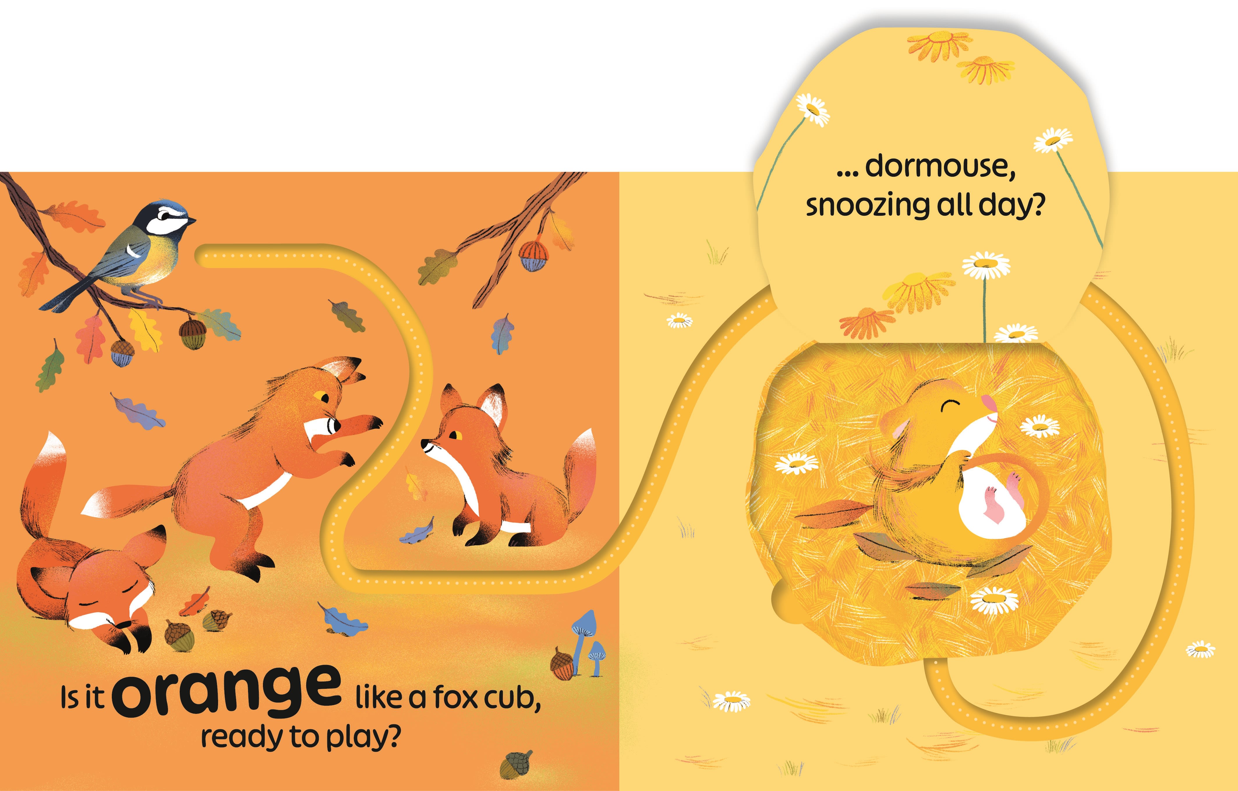 Page Spread