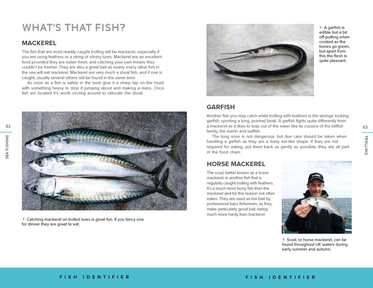 Page Spread