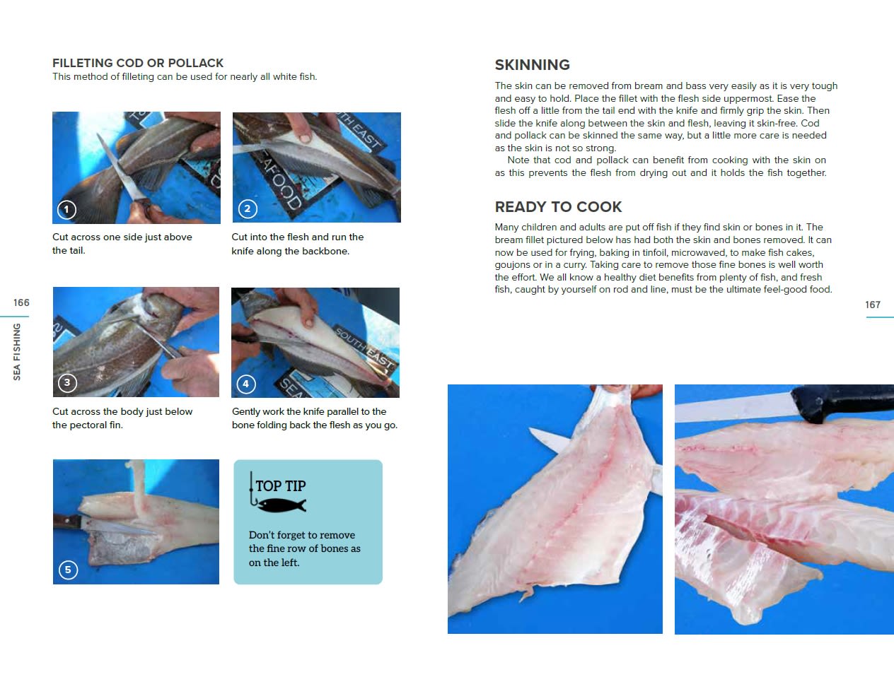Page Spread