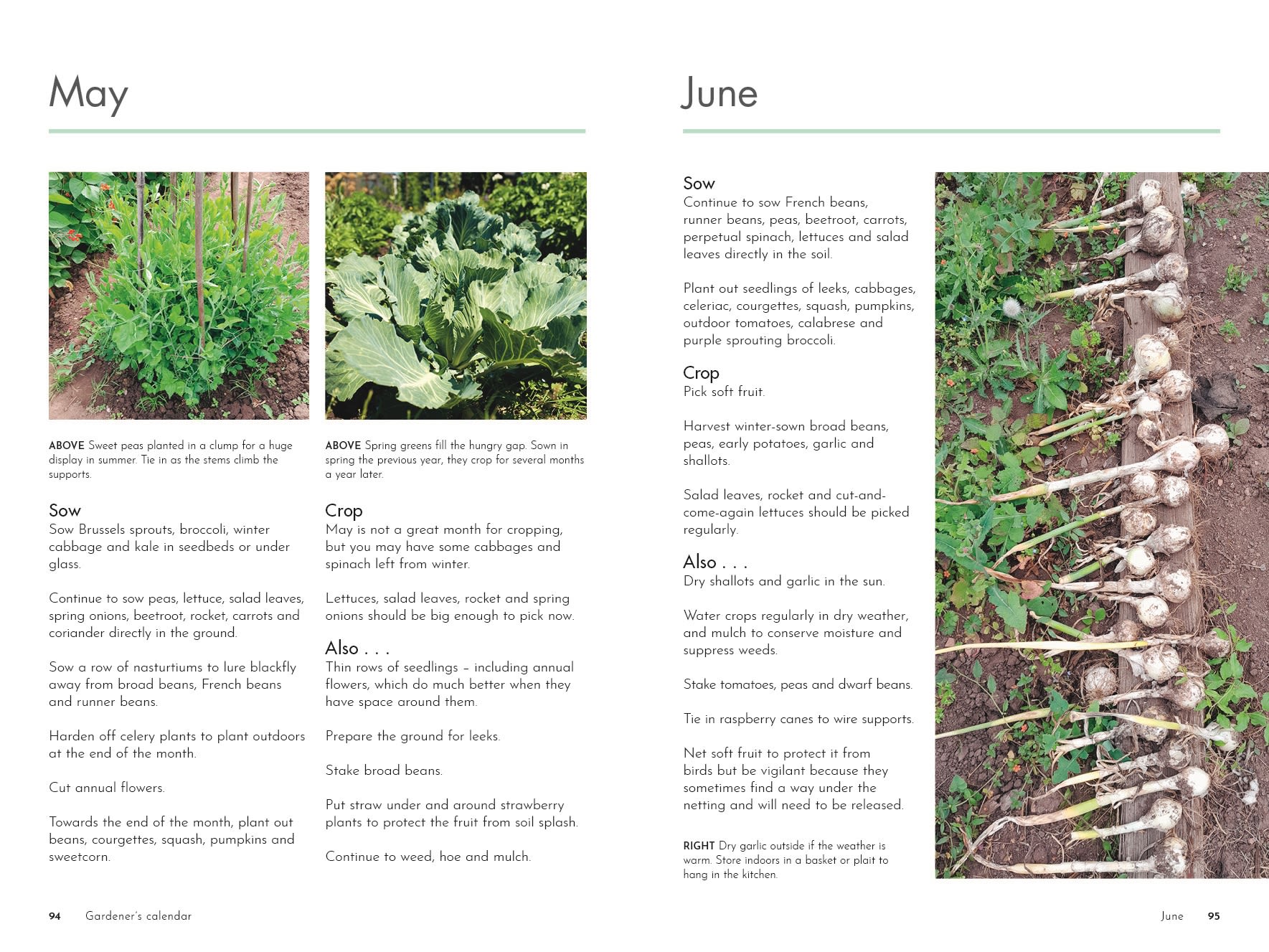 Page Spread