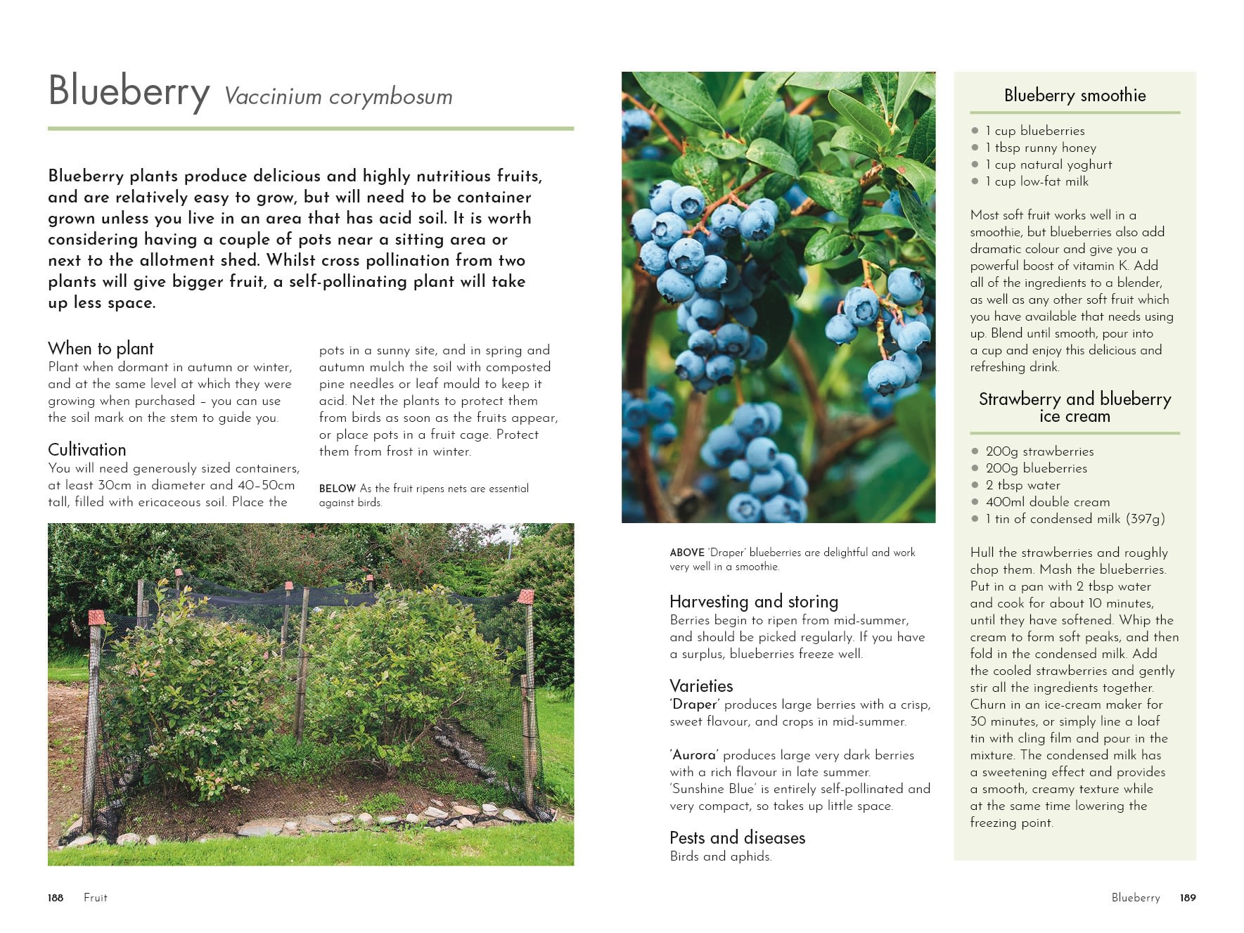 Page Spread