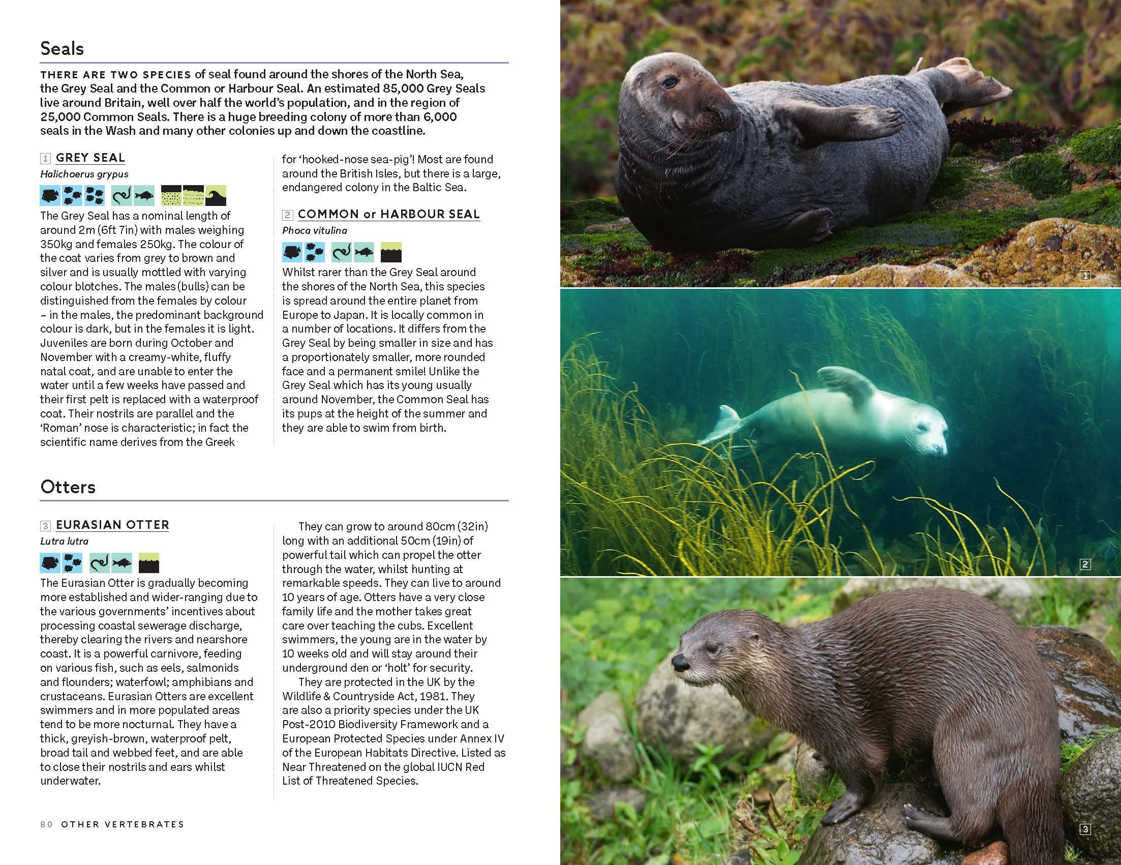 Page Spread