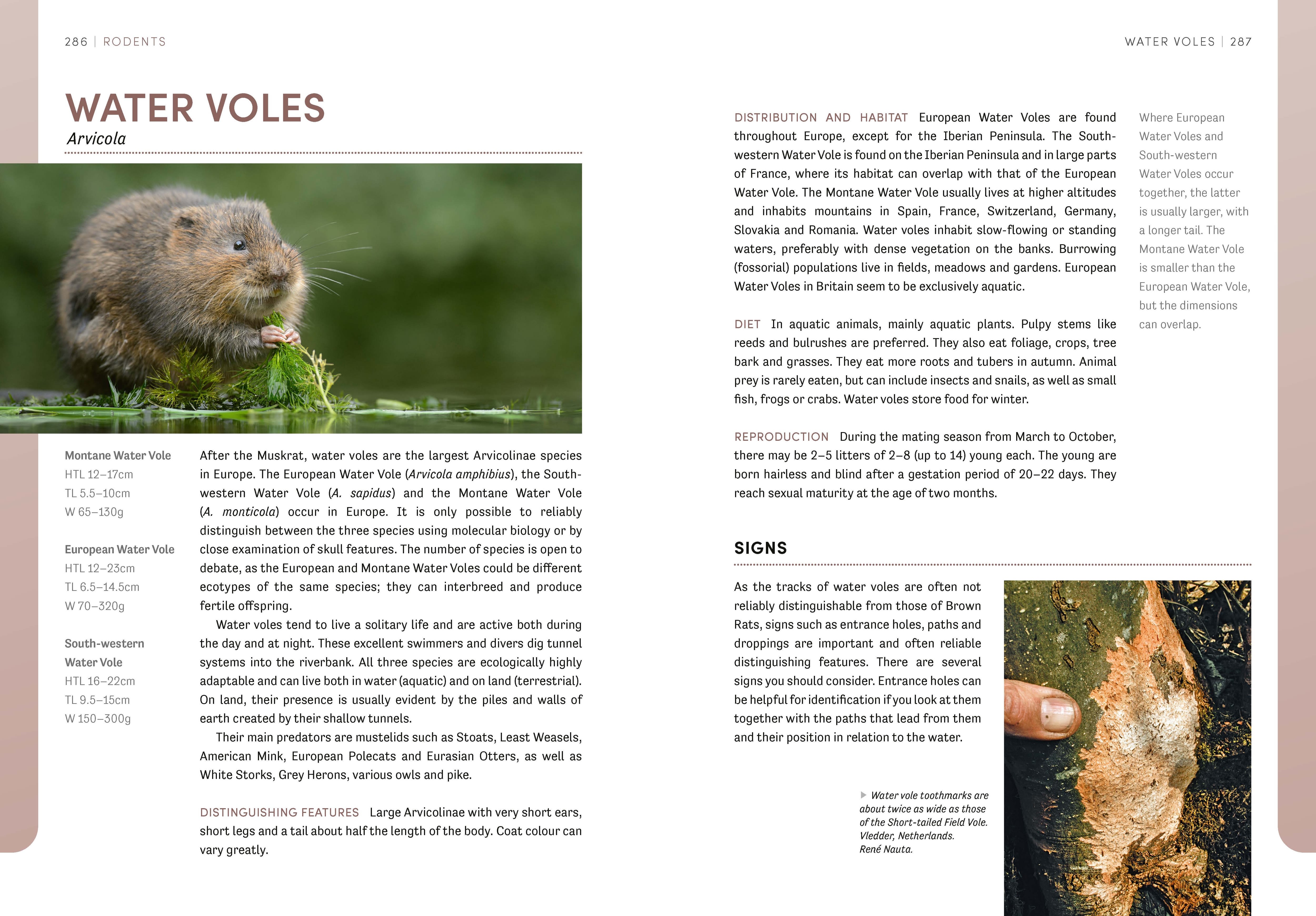 Page Spread
