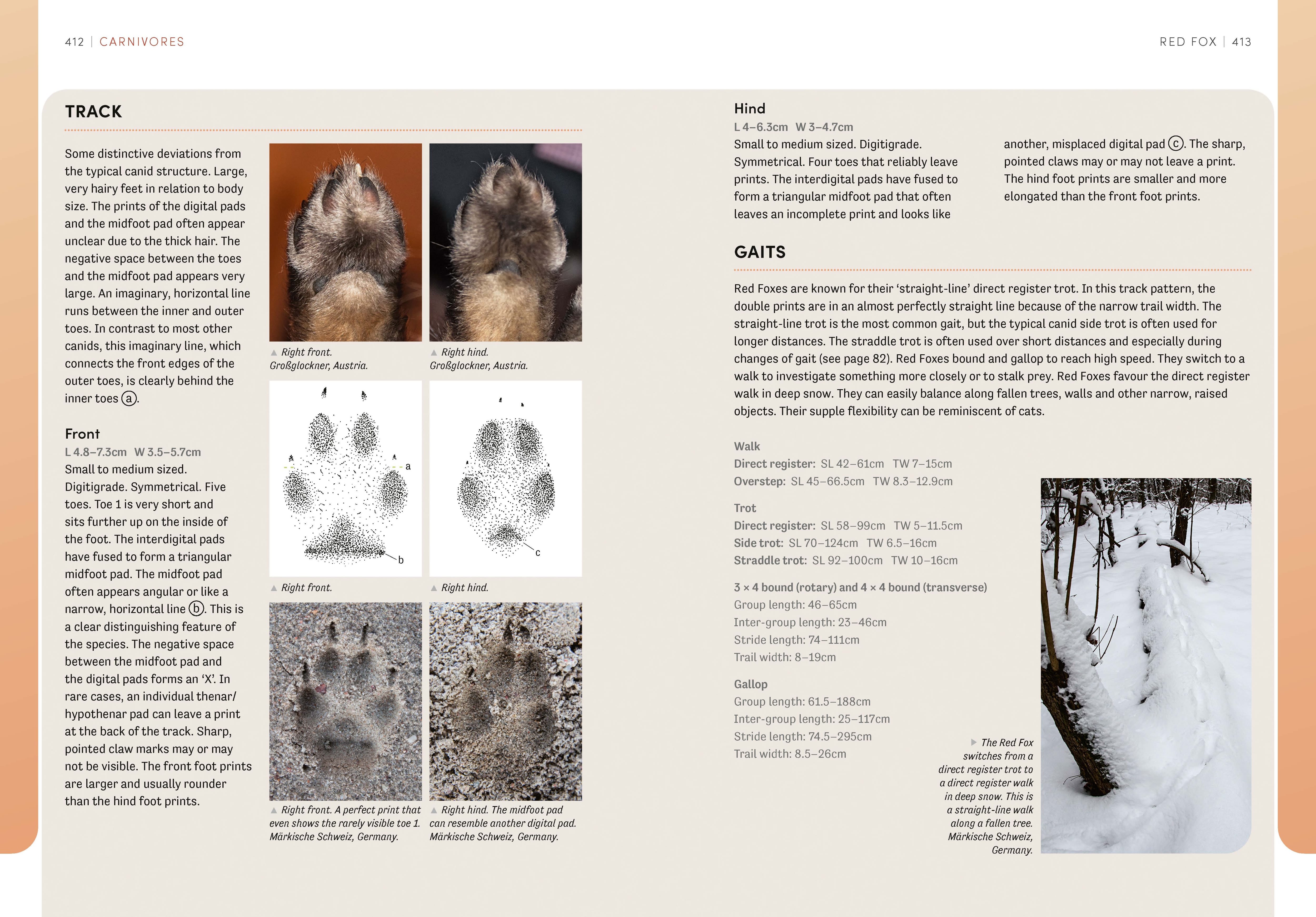 Page Spread