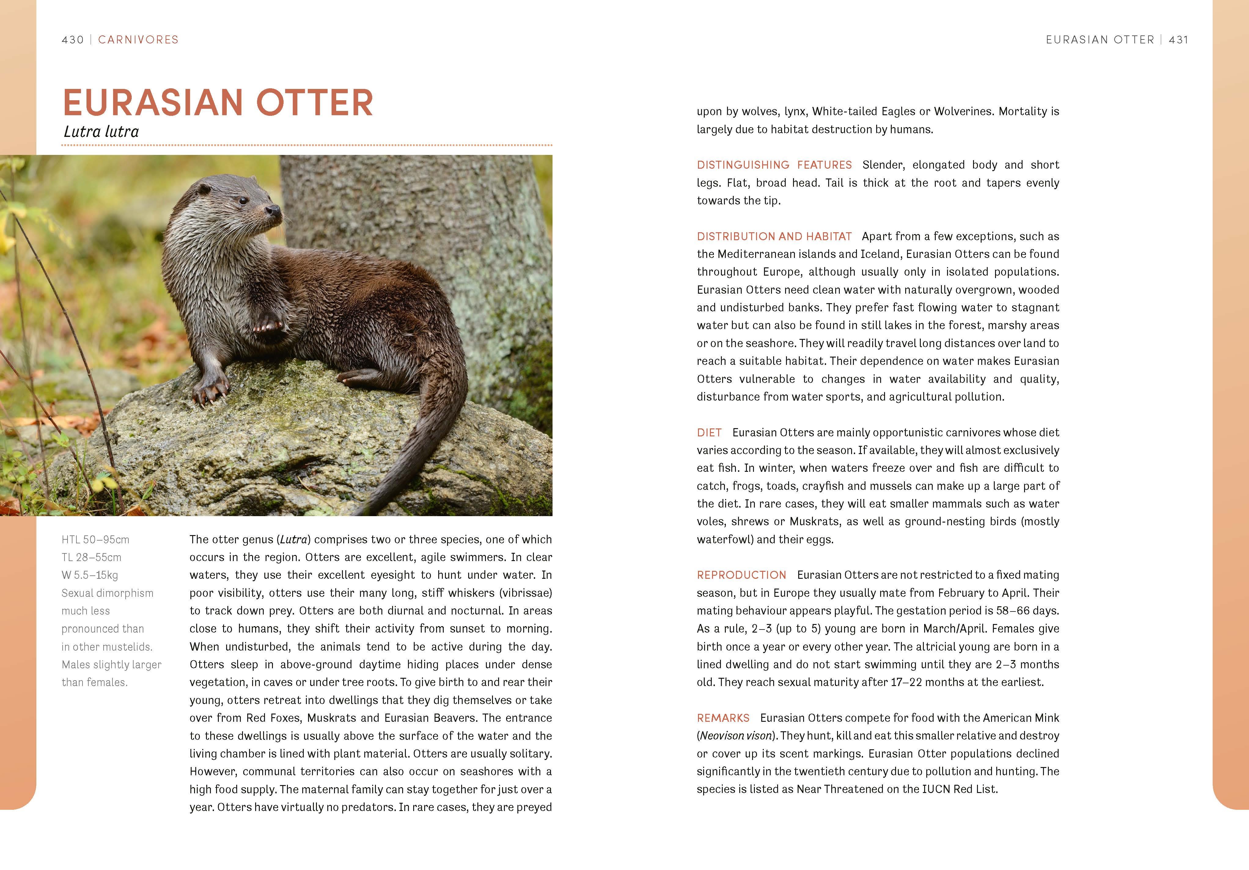 Page Spread