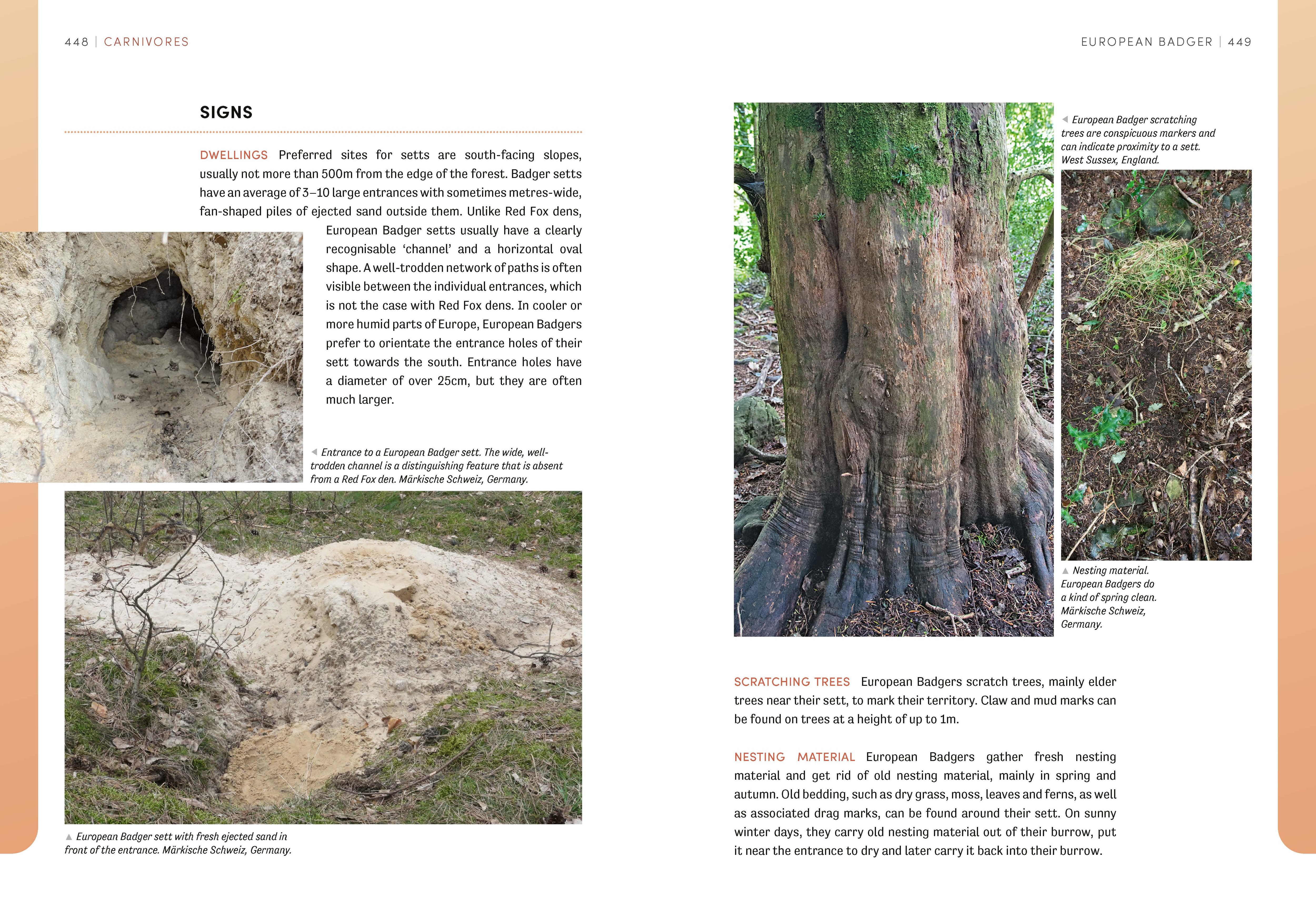 Page Spread