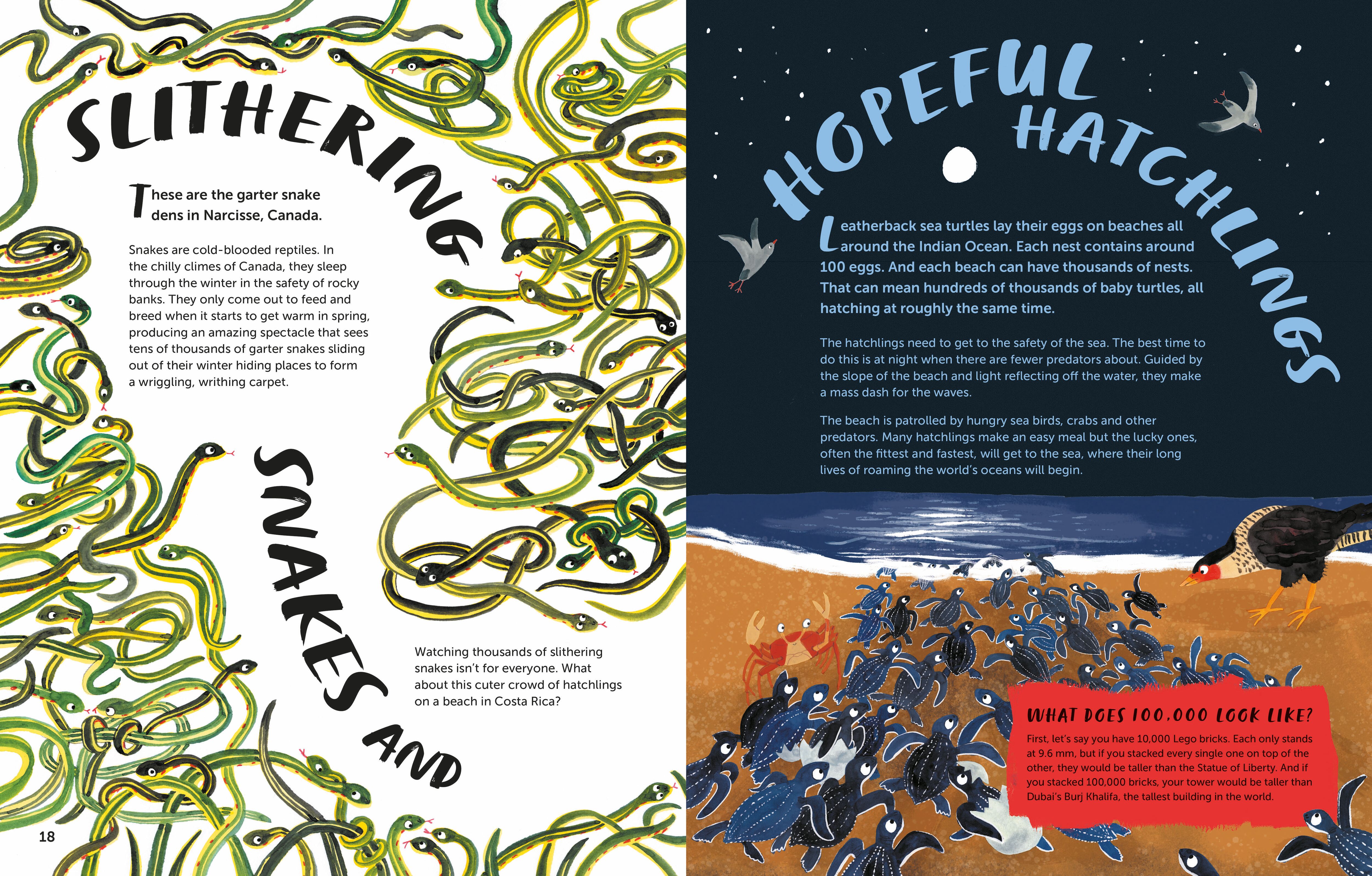 Page Spread