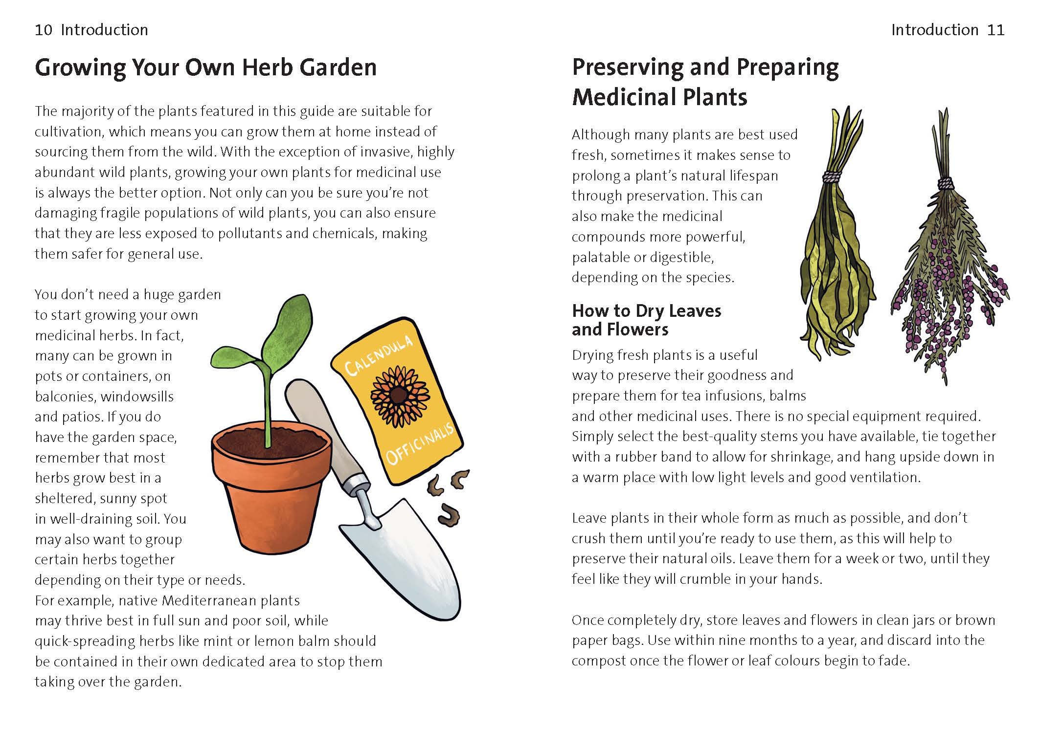 Page Spread