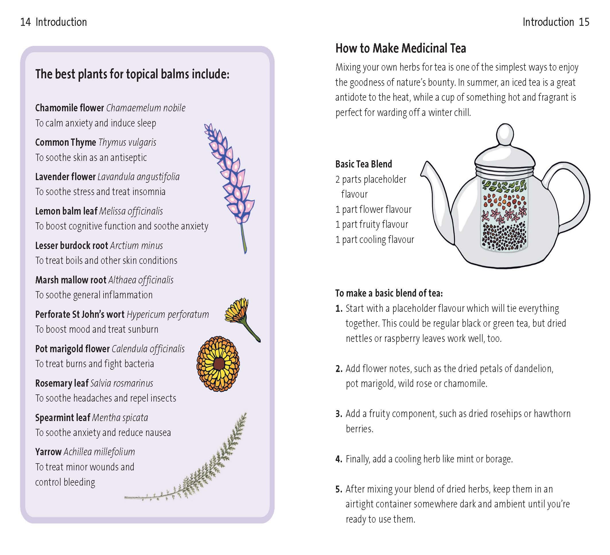 Page Spread
