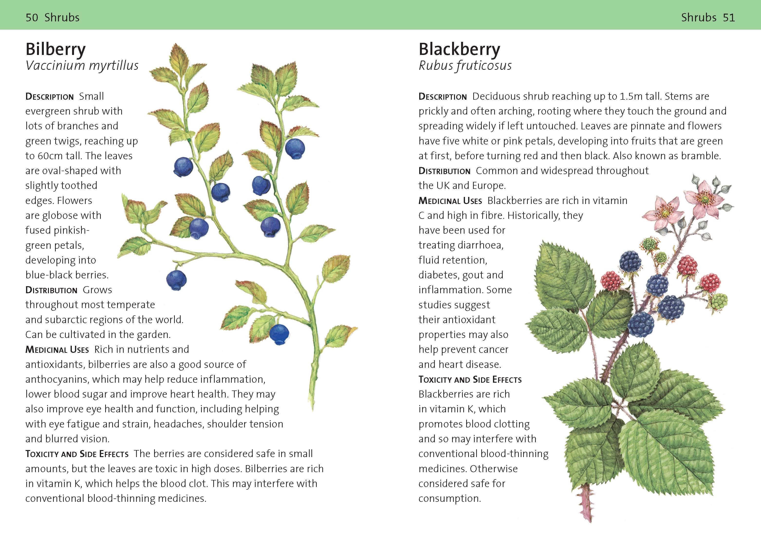 Page Spread