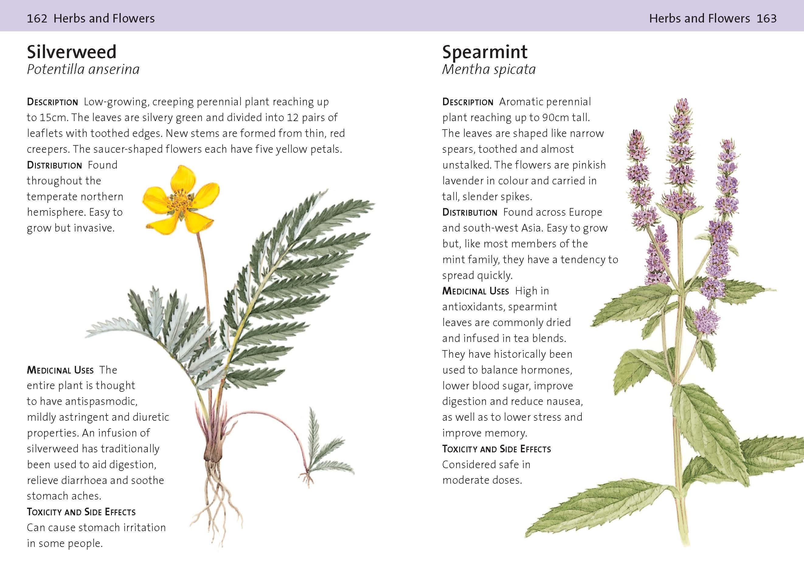 Page Spread