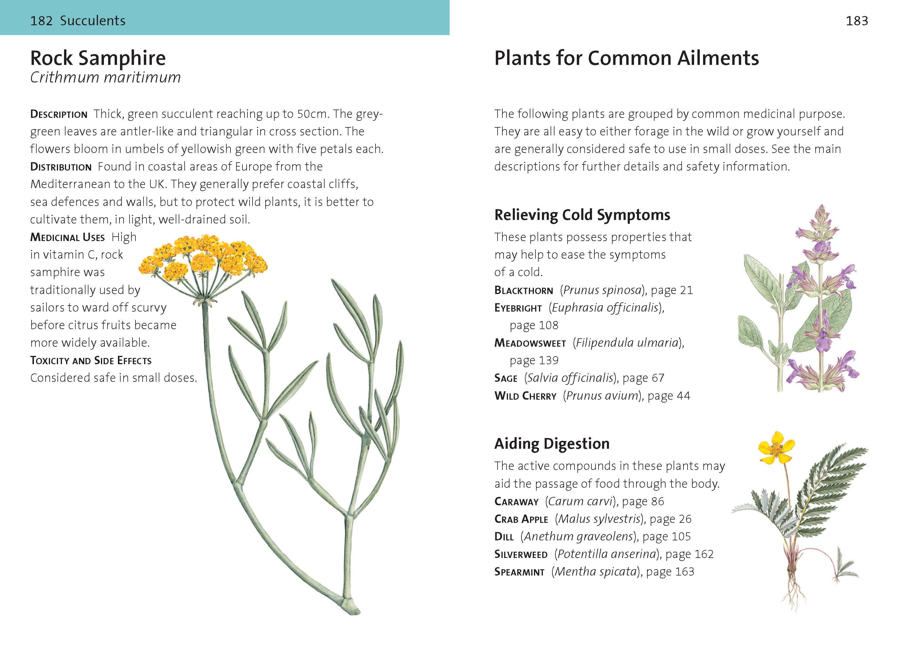 Page Spread
