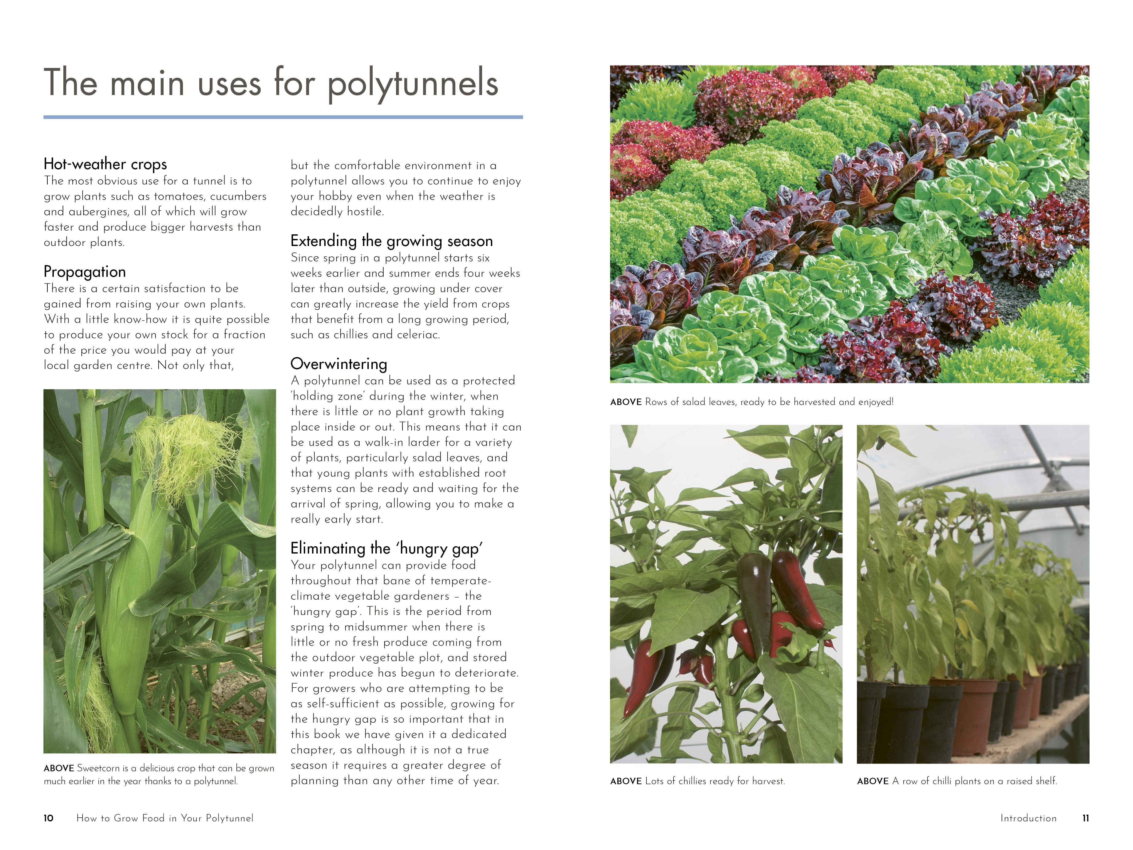 Page Spread
