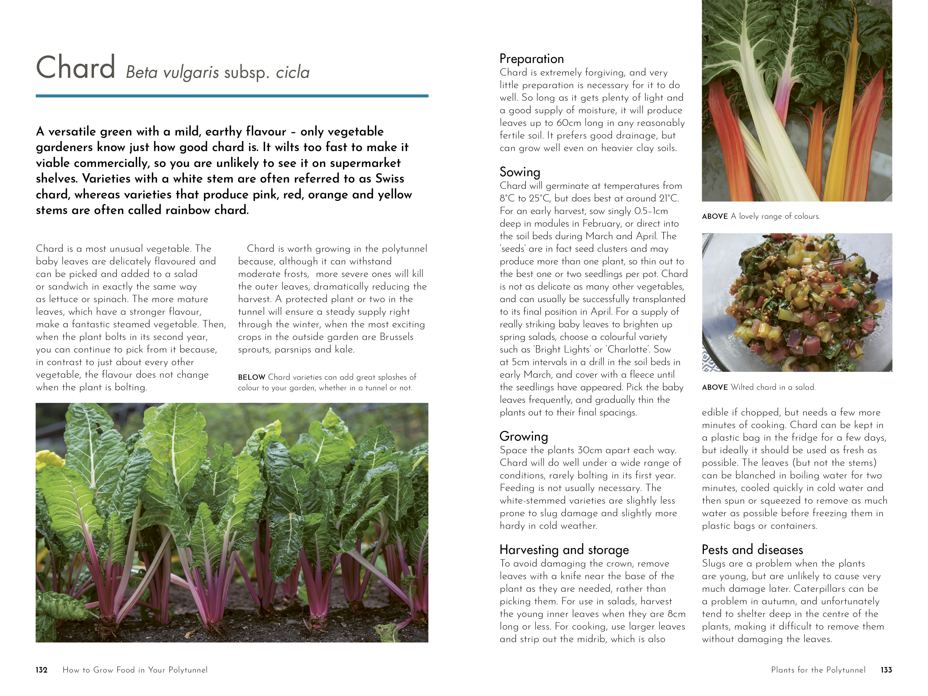 Page Spread