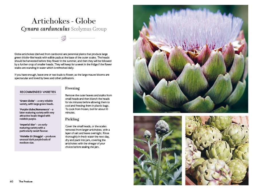 Page Spread
