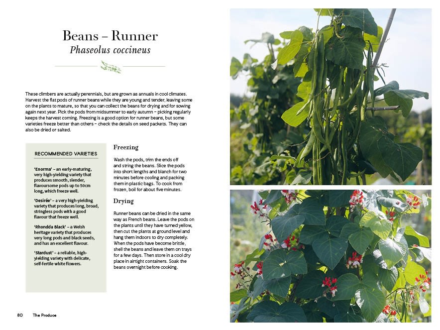 Page Spread