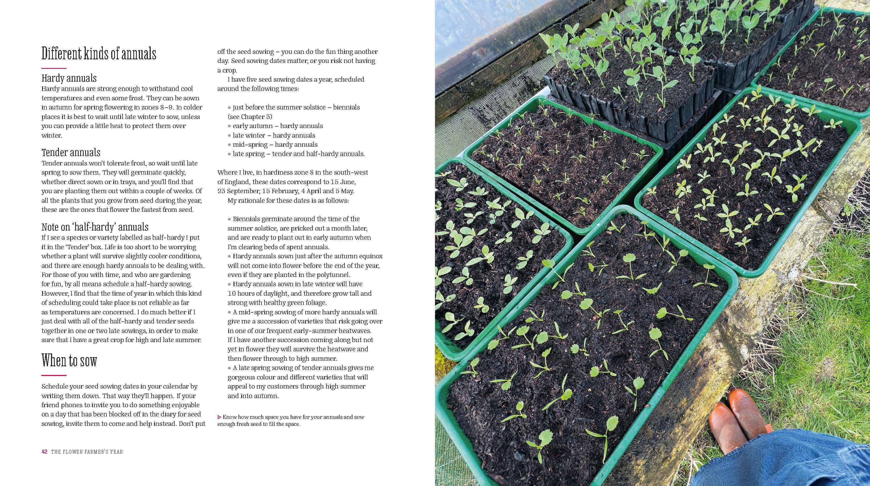 Page Spread