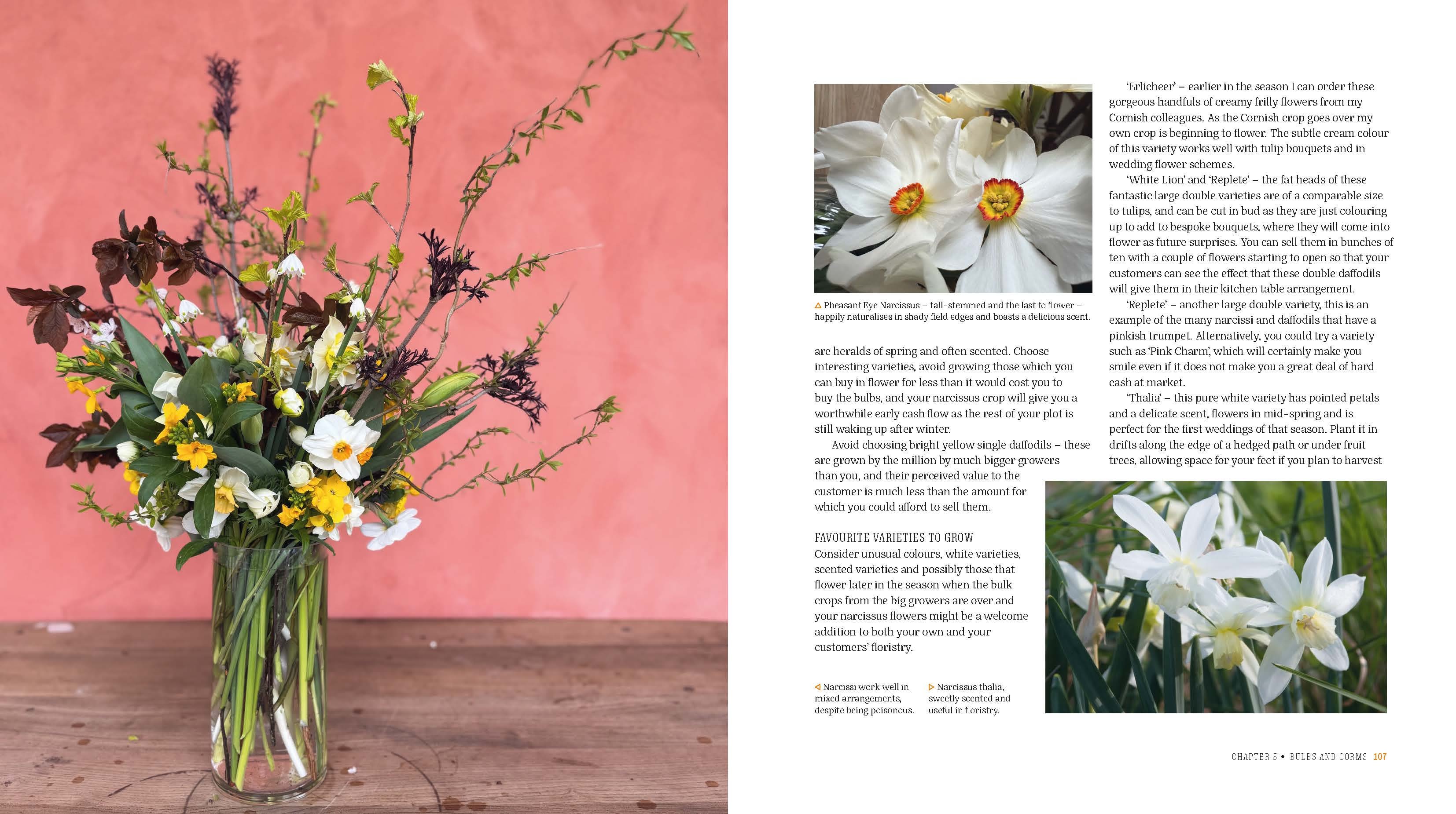 Page Spread