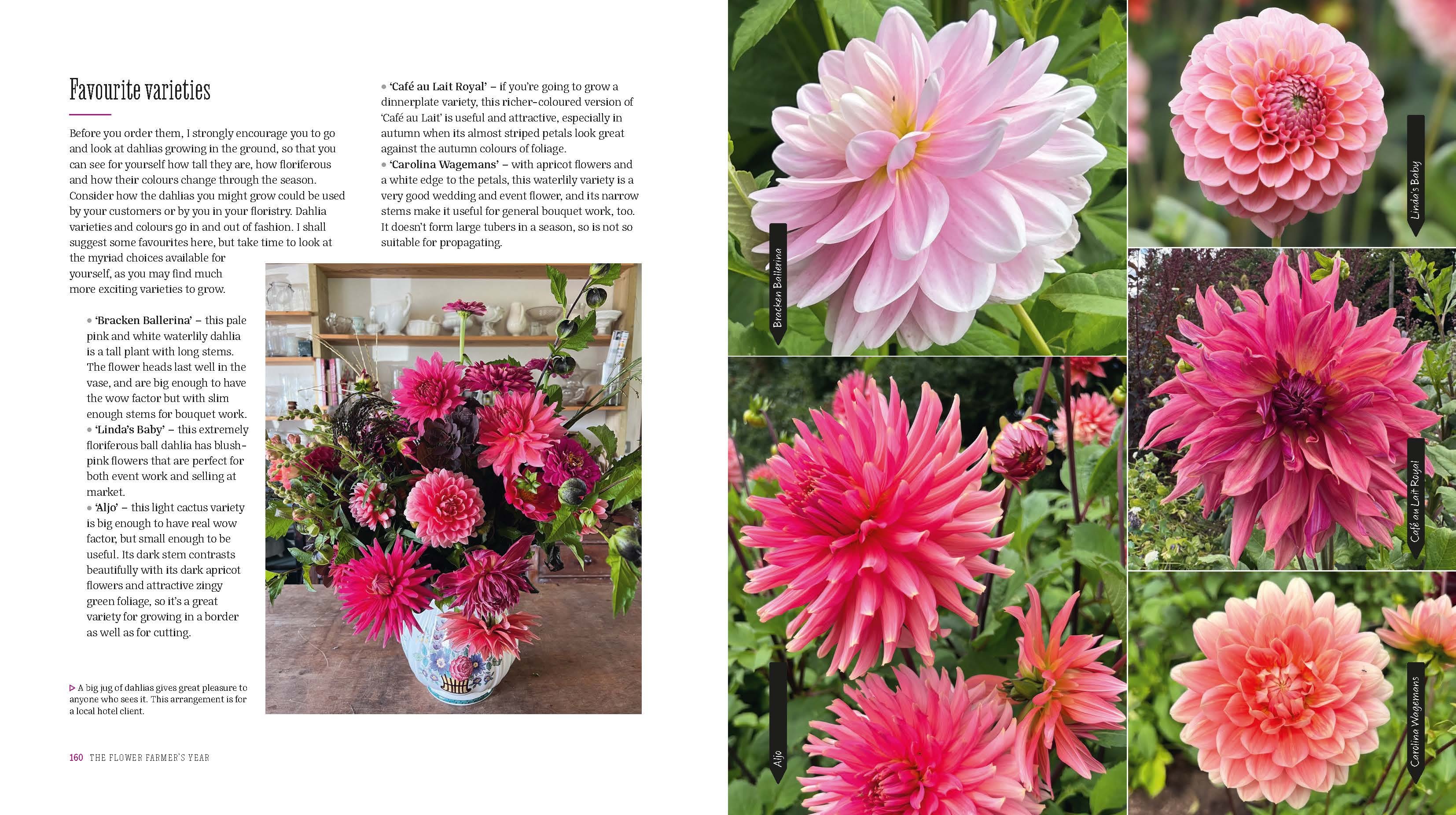 Page Spread