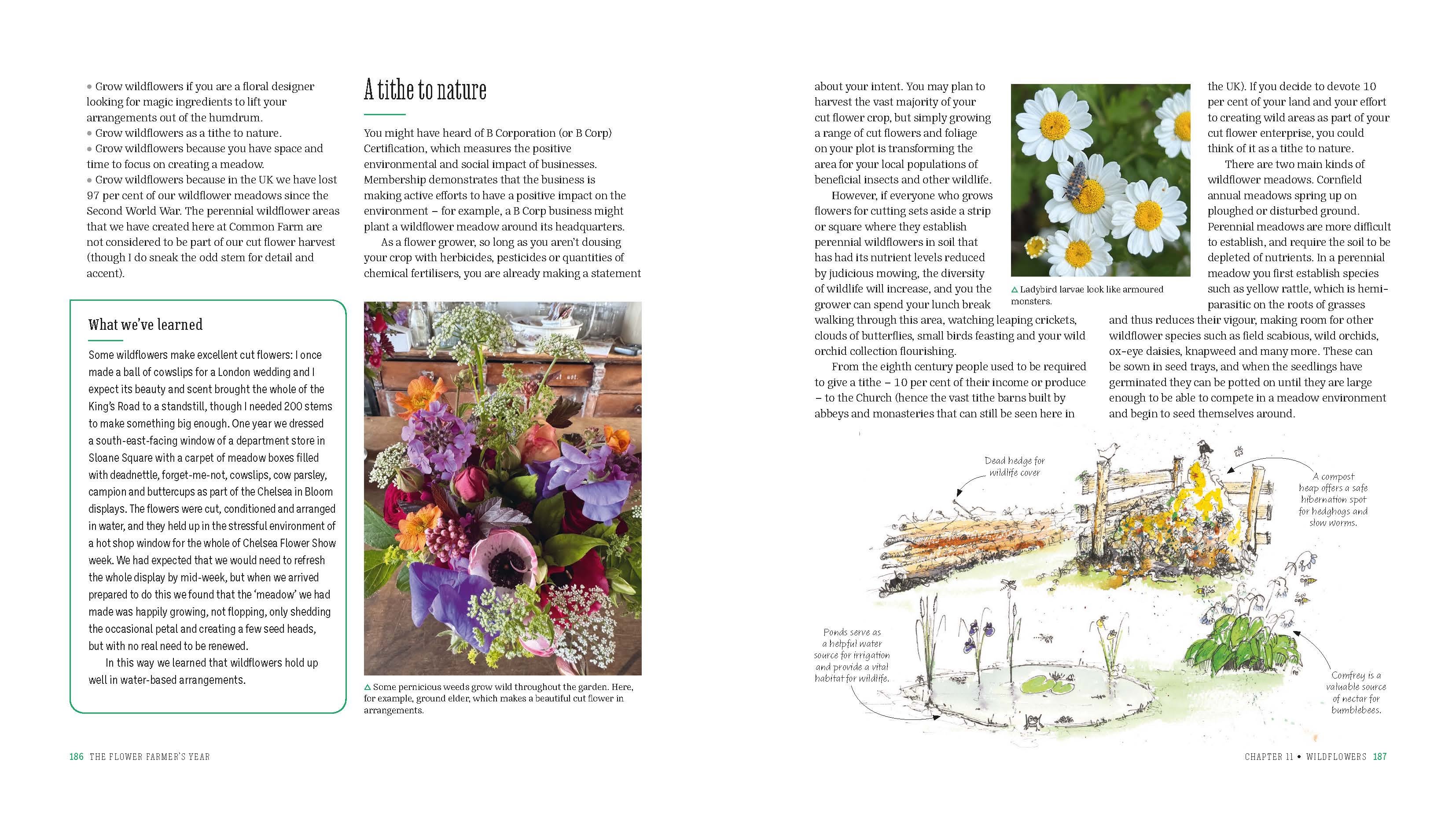 Page Spread