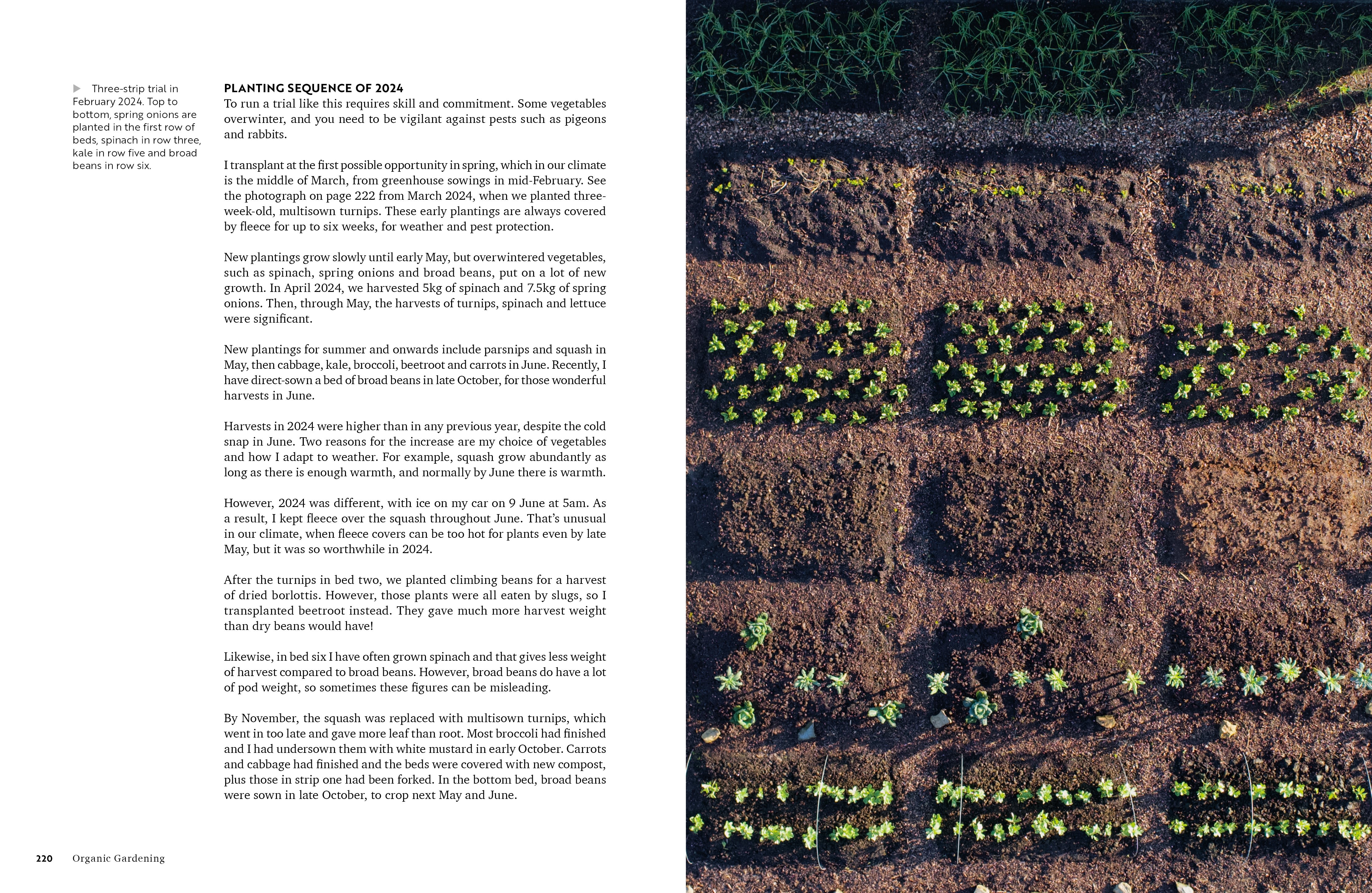Page Spread
