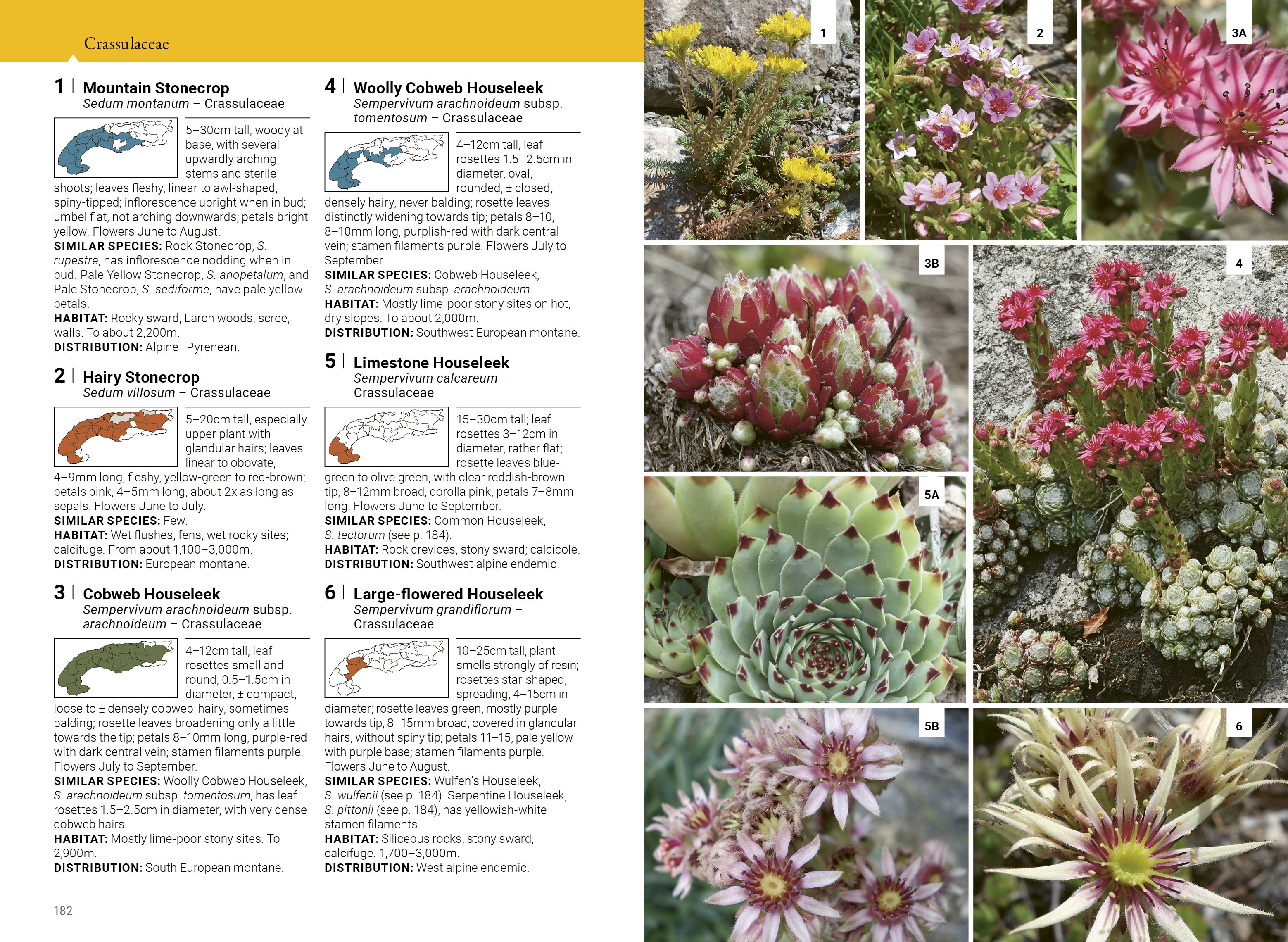 Page Spread