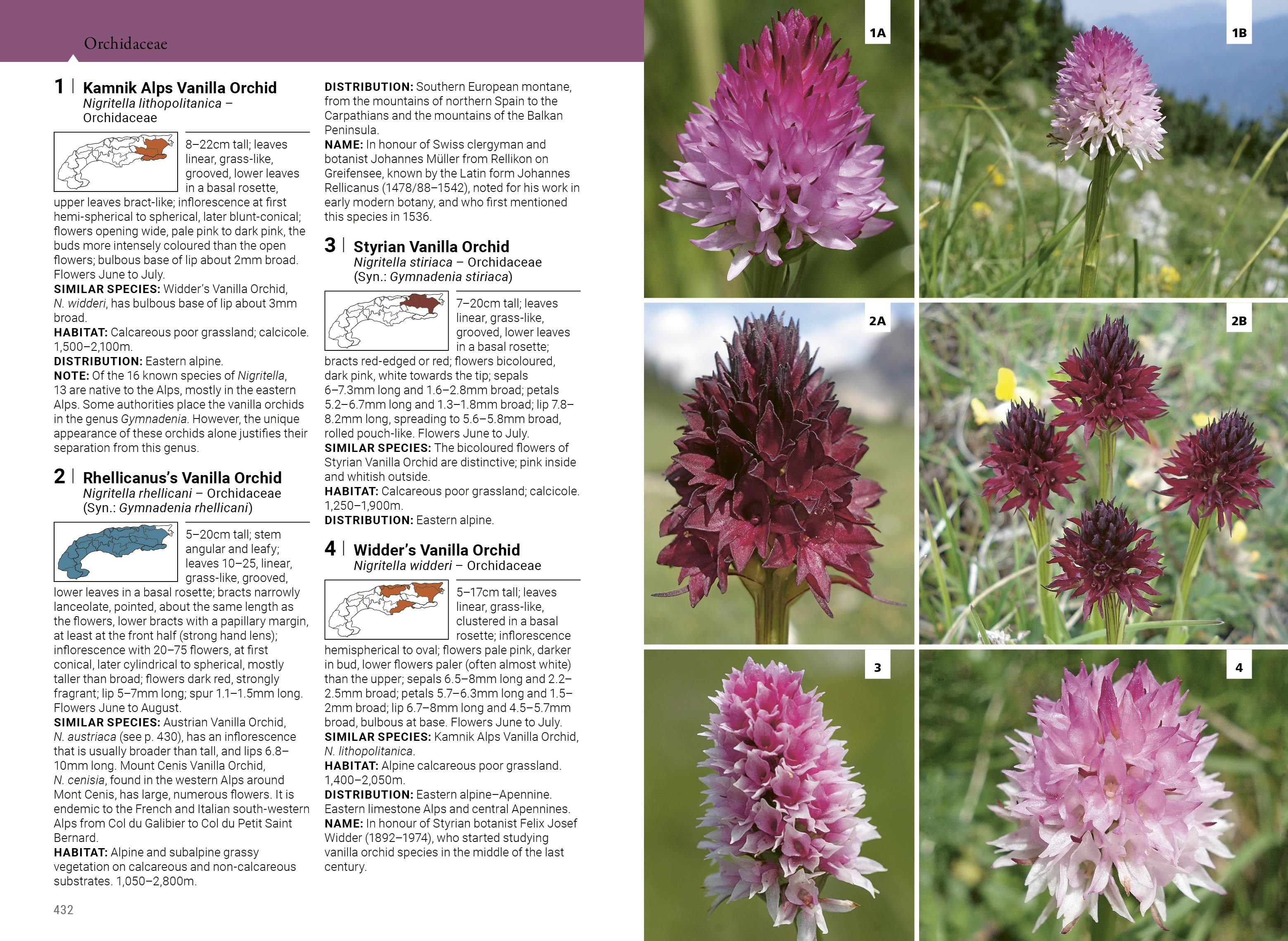 Page Spread