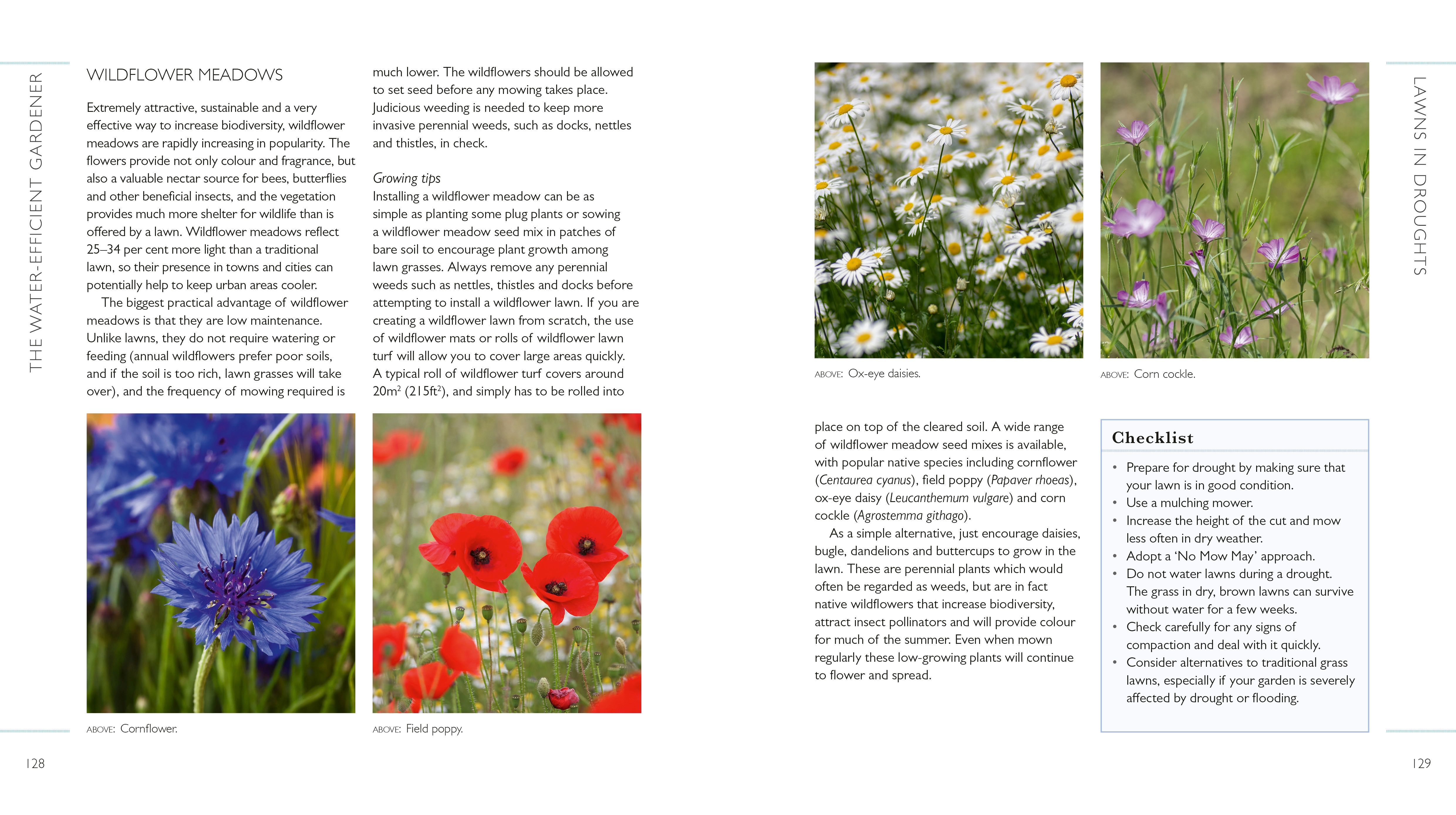 Page Spread