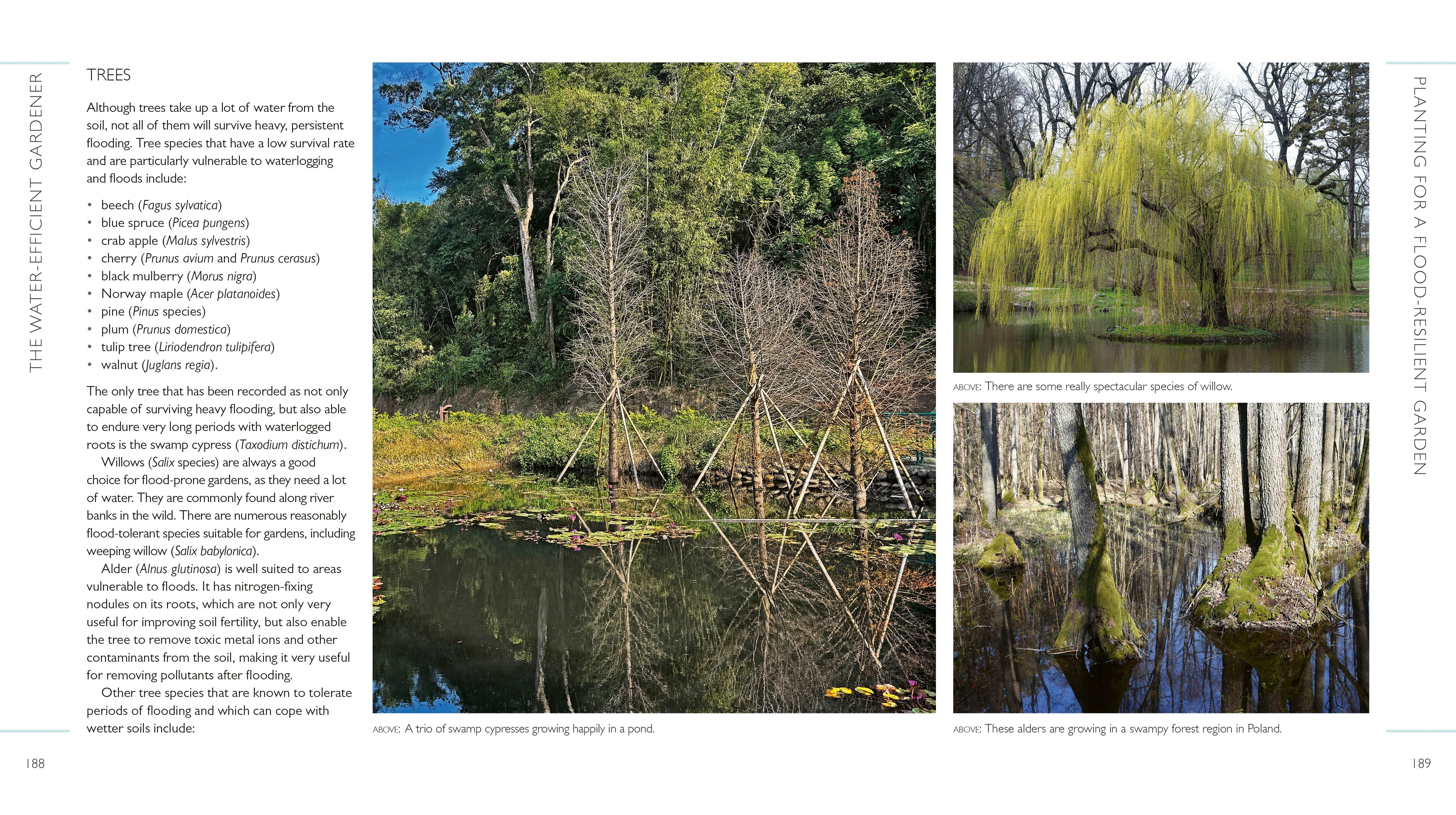 Page Spread
