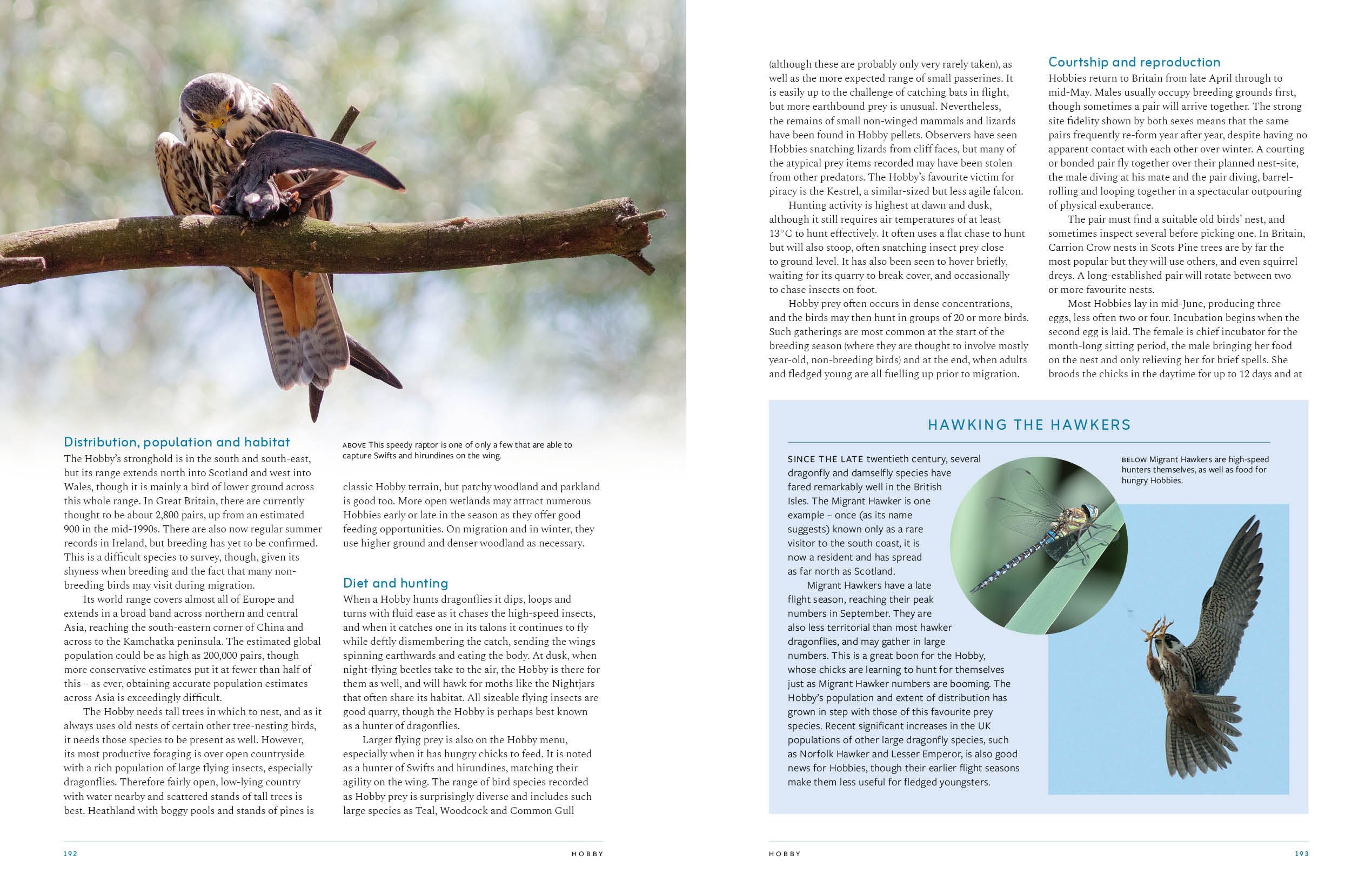 Page Spread
