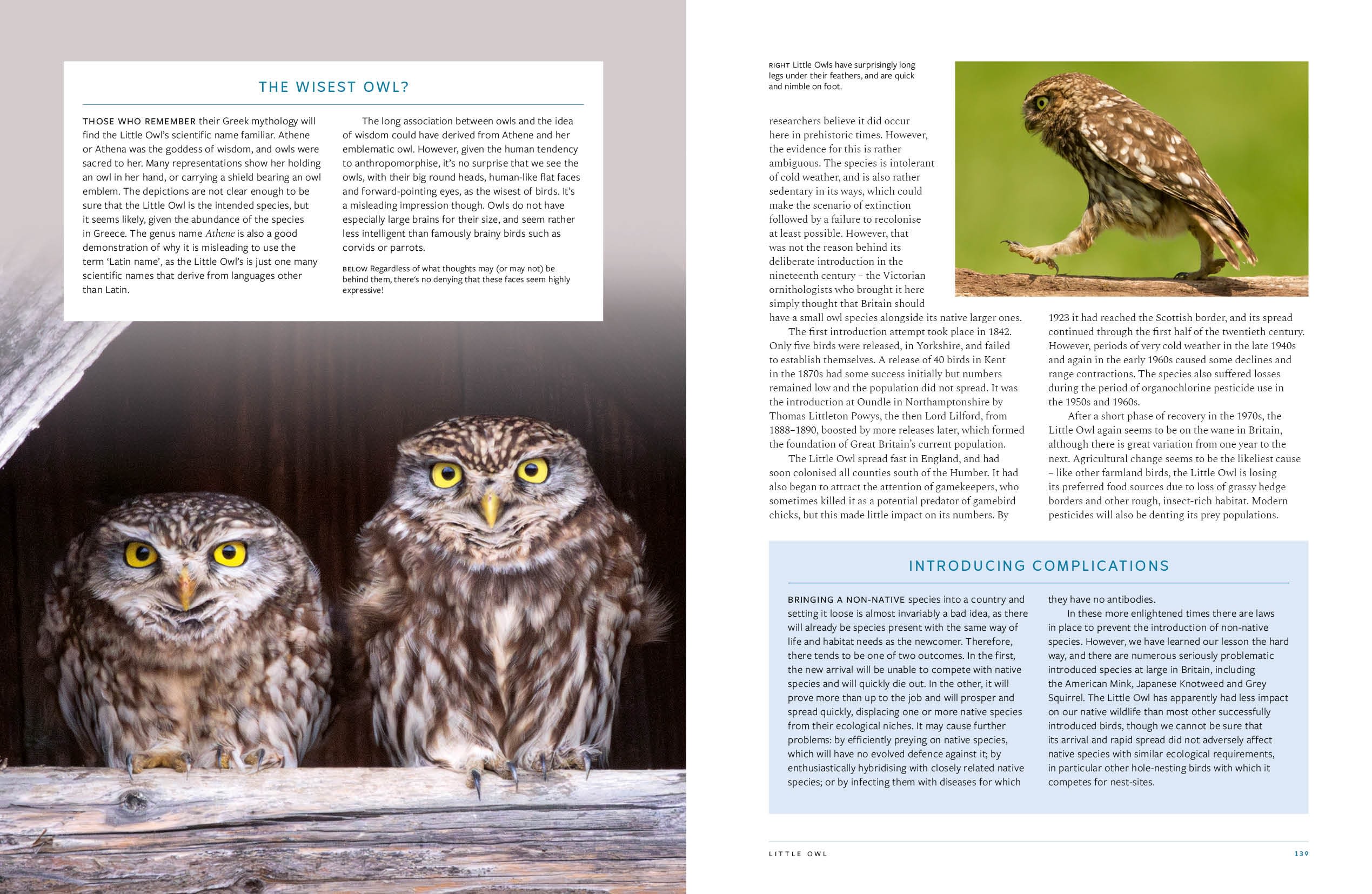 Page Spread