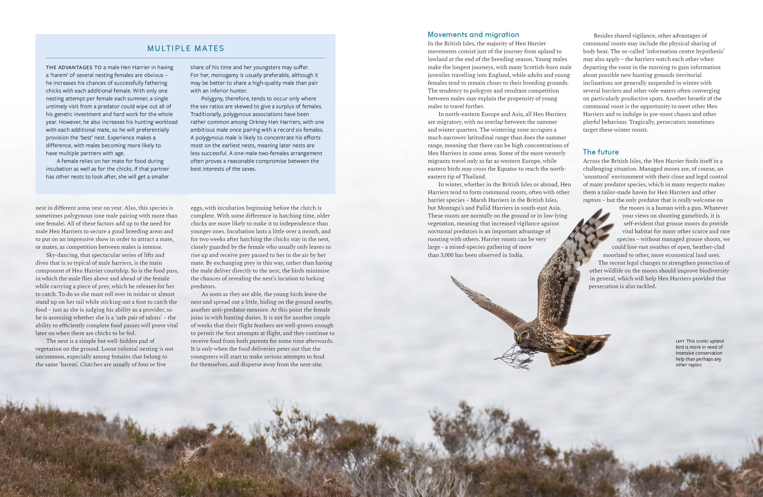 Page Spread