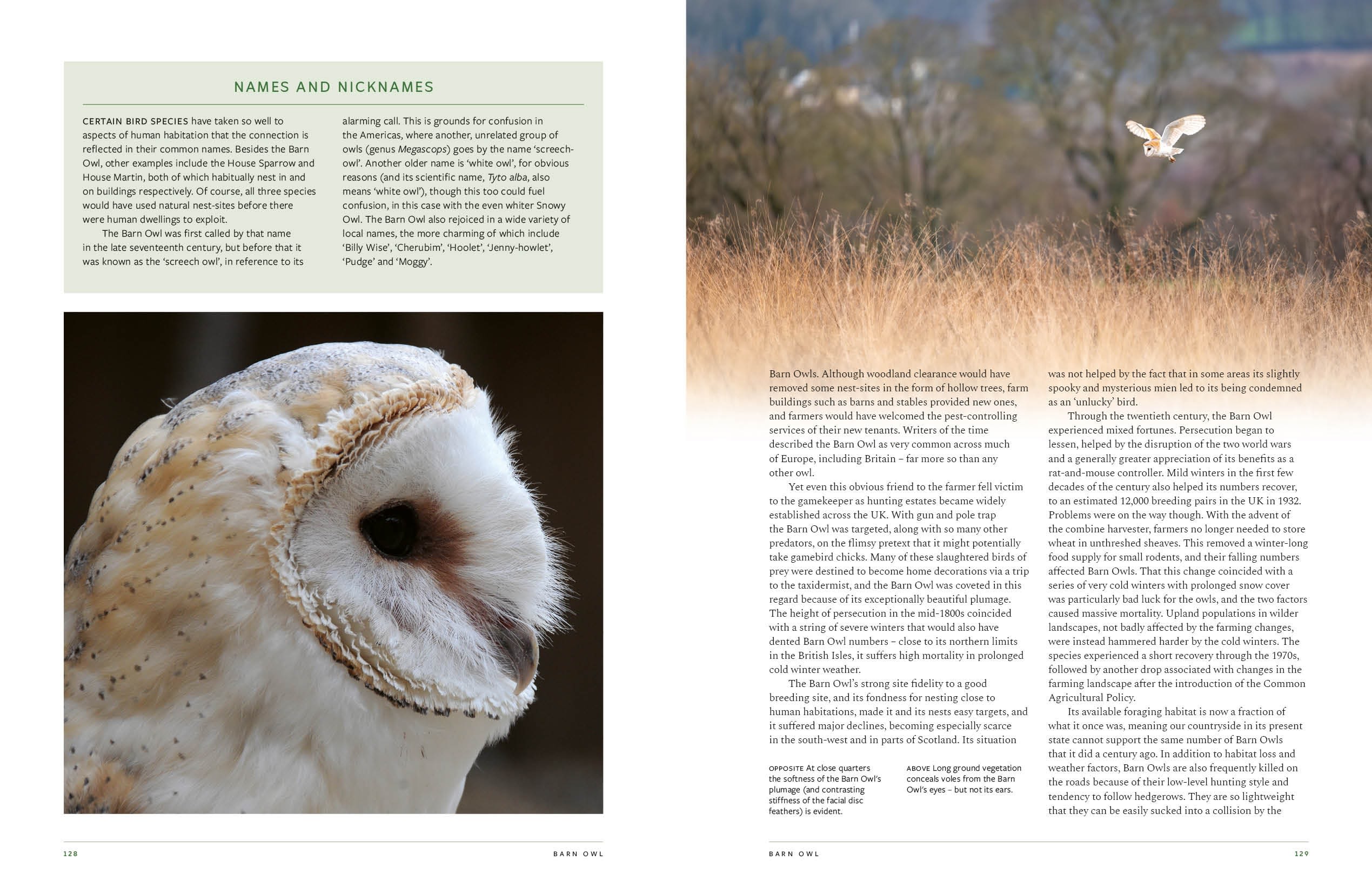 Page Spread