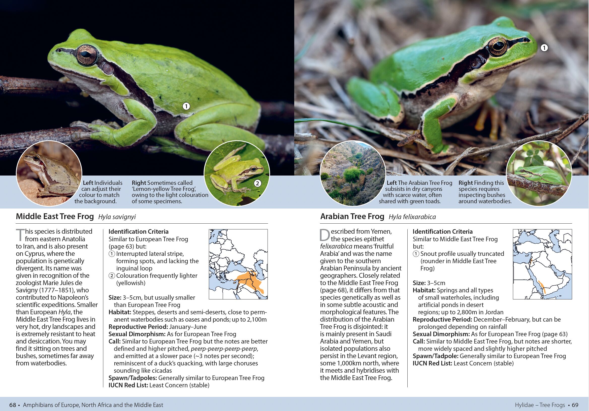 Page Spread