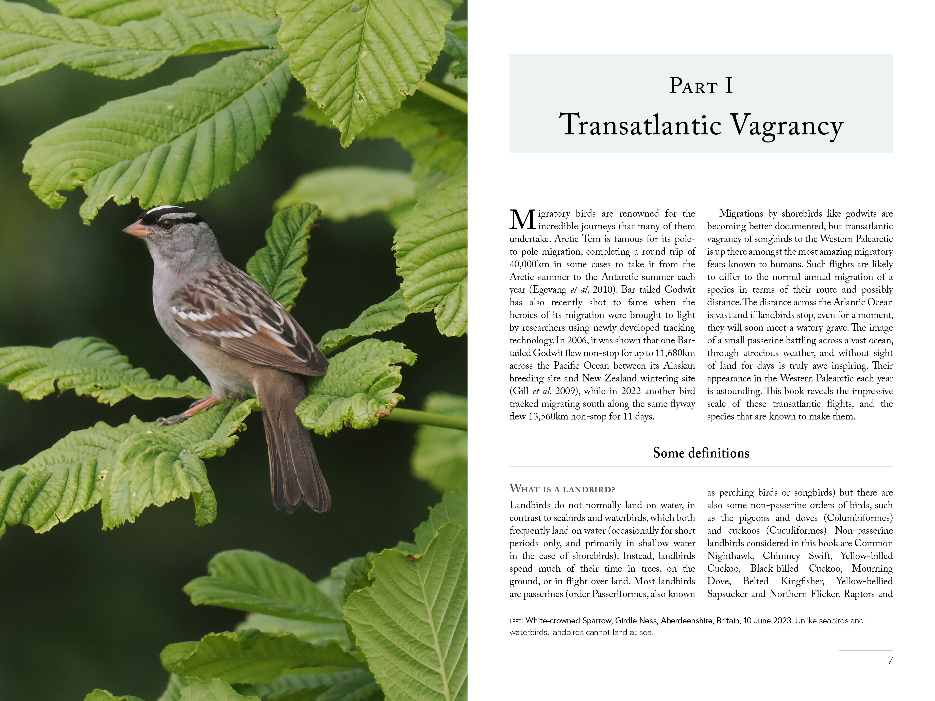 Page Spread