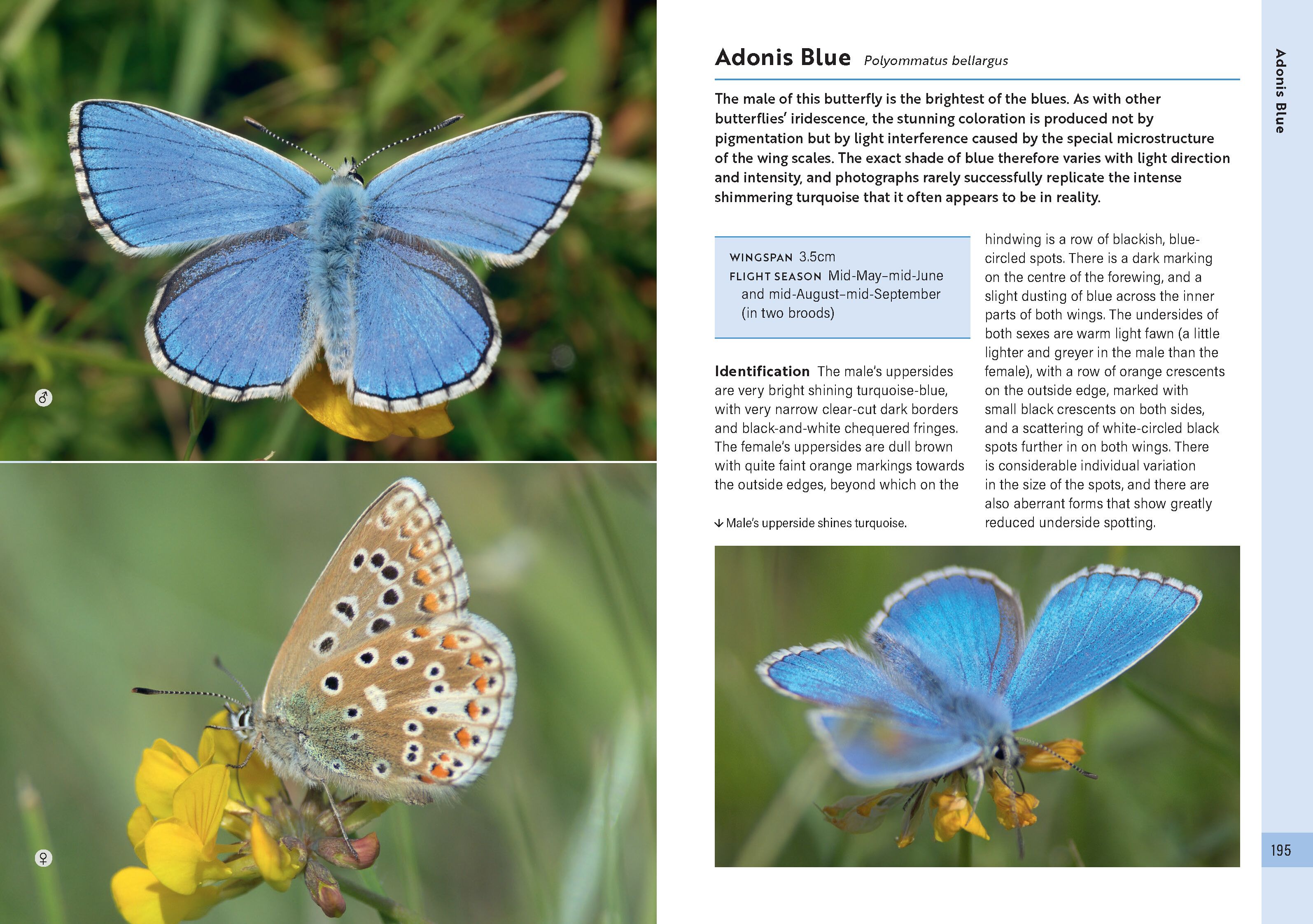 Page Spread