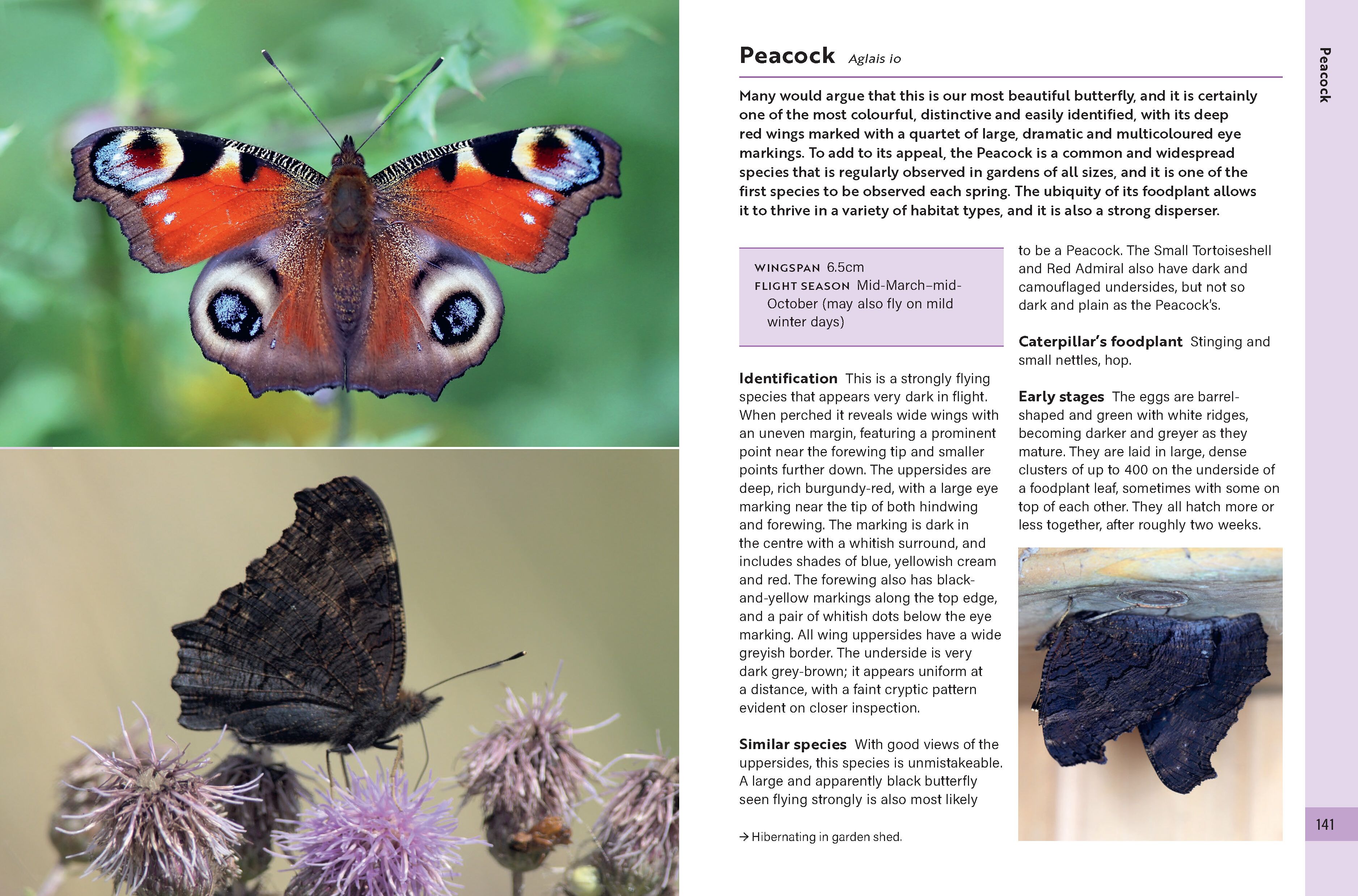 Page Spread