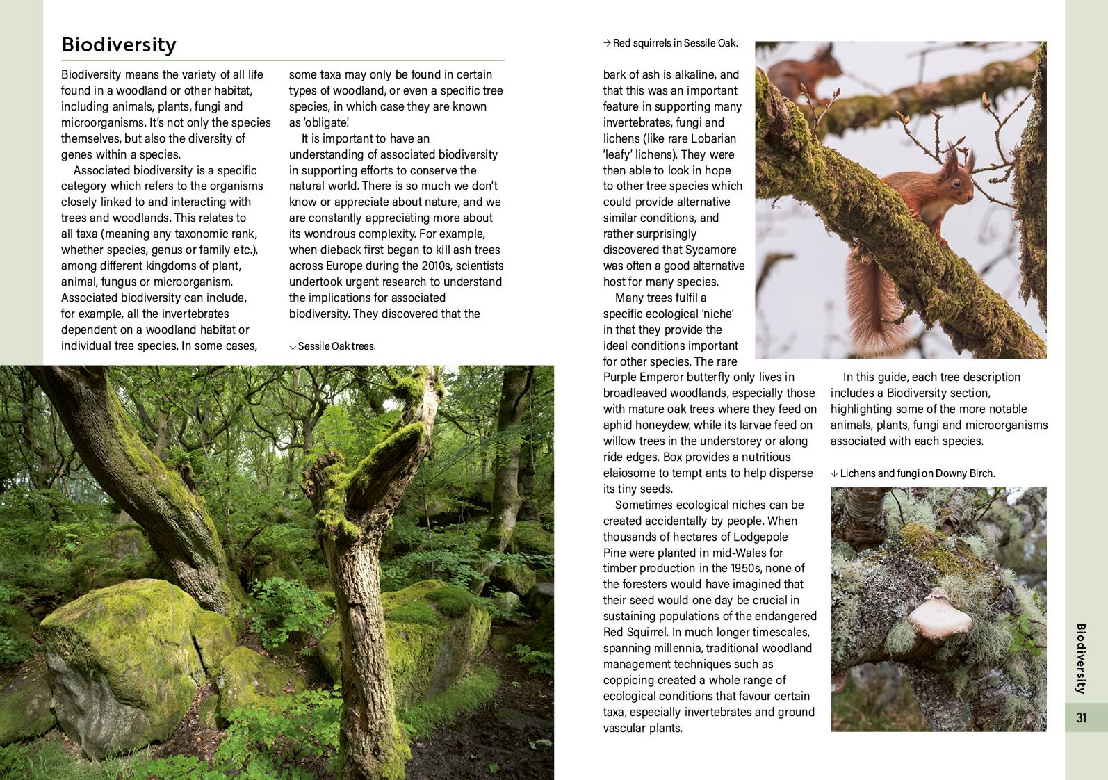 Page Spread