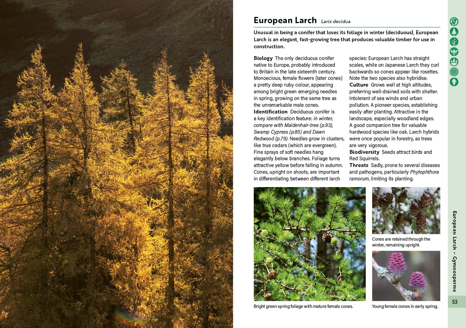 Page Spread
